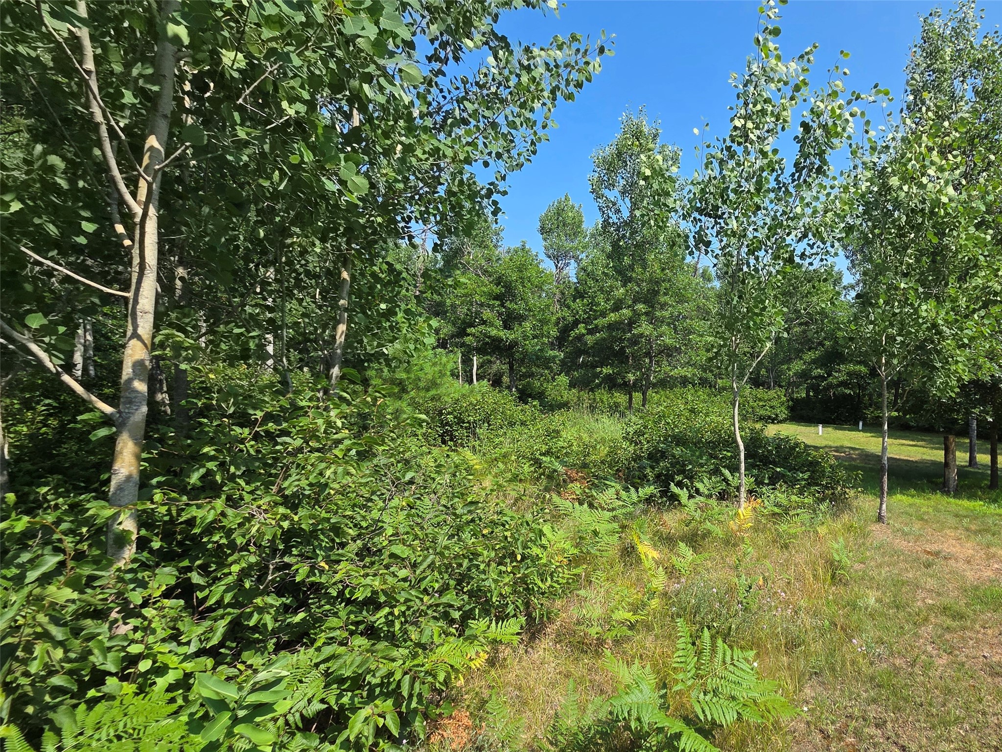 7214 W Old Bass Lake Road Property Photo 6