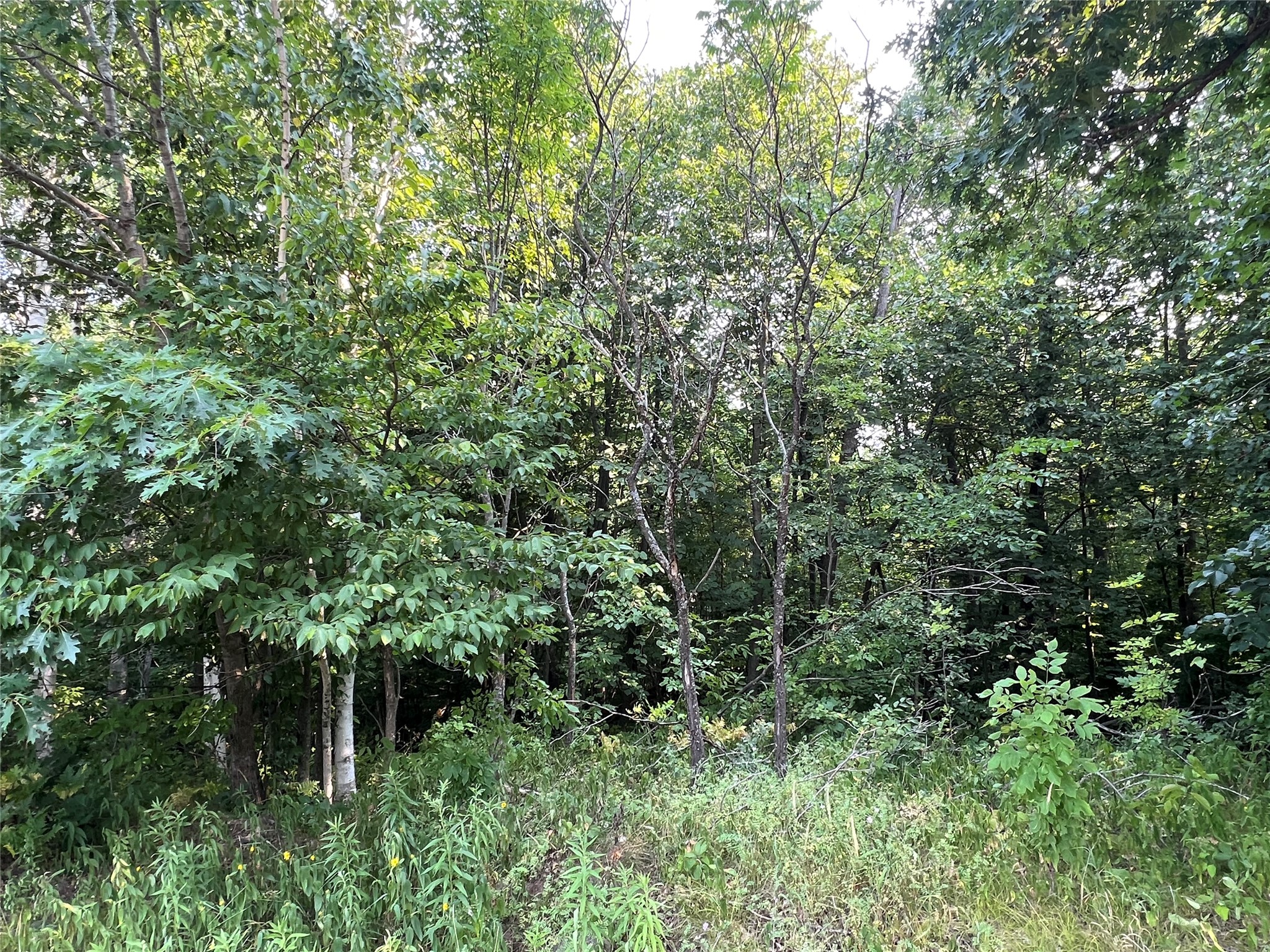 23871 Tollander Road Property Photo 35