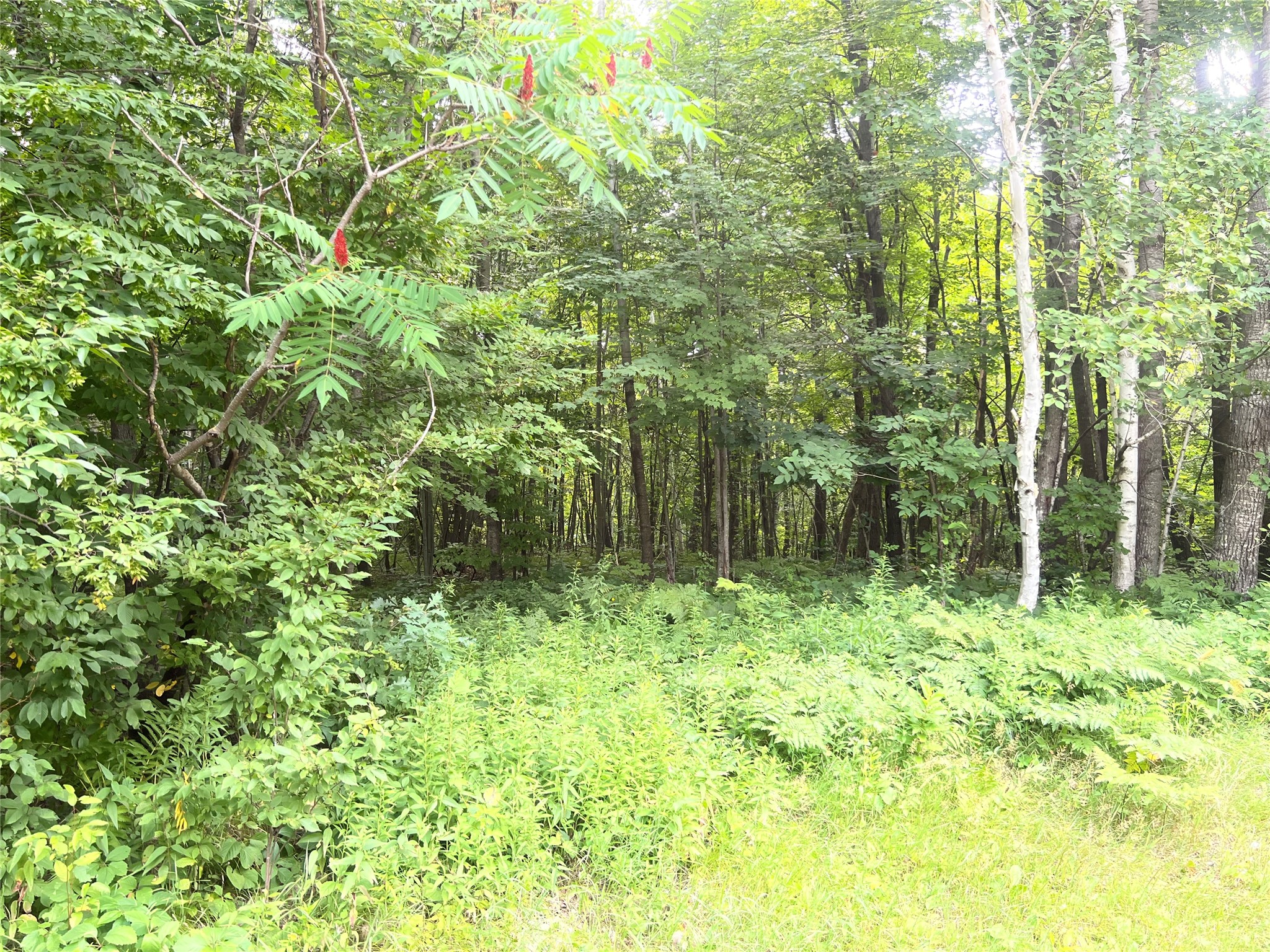 23871 Tollander Road Property Photo 39