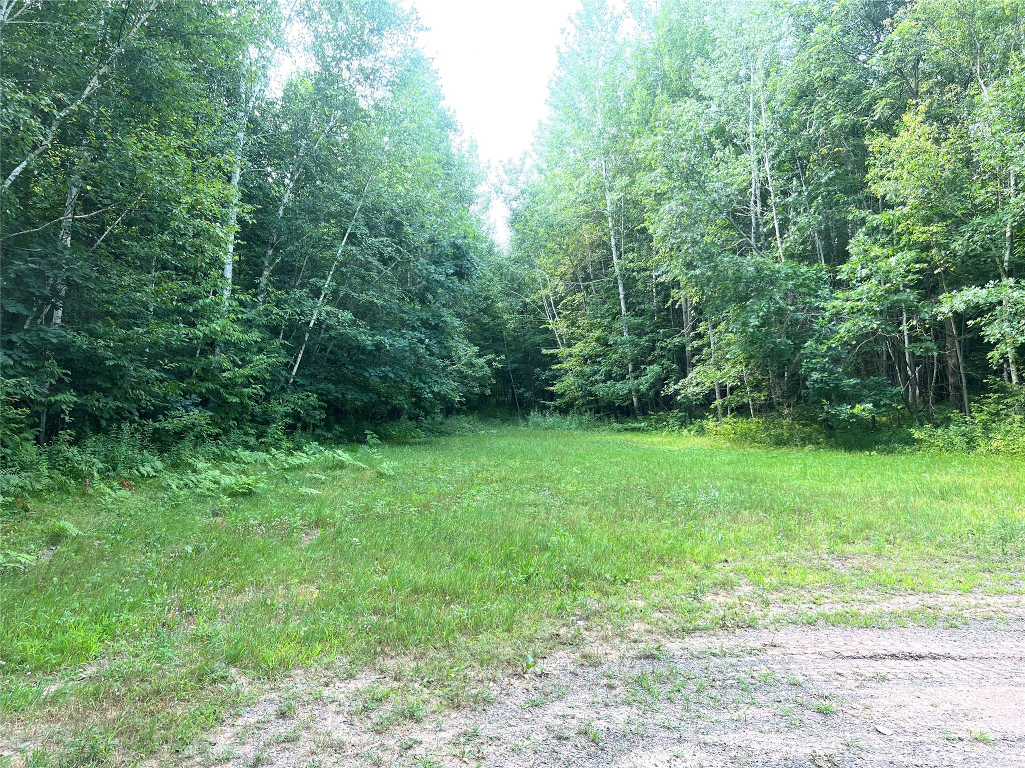 23871 Tollander Road Property Photo 40