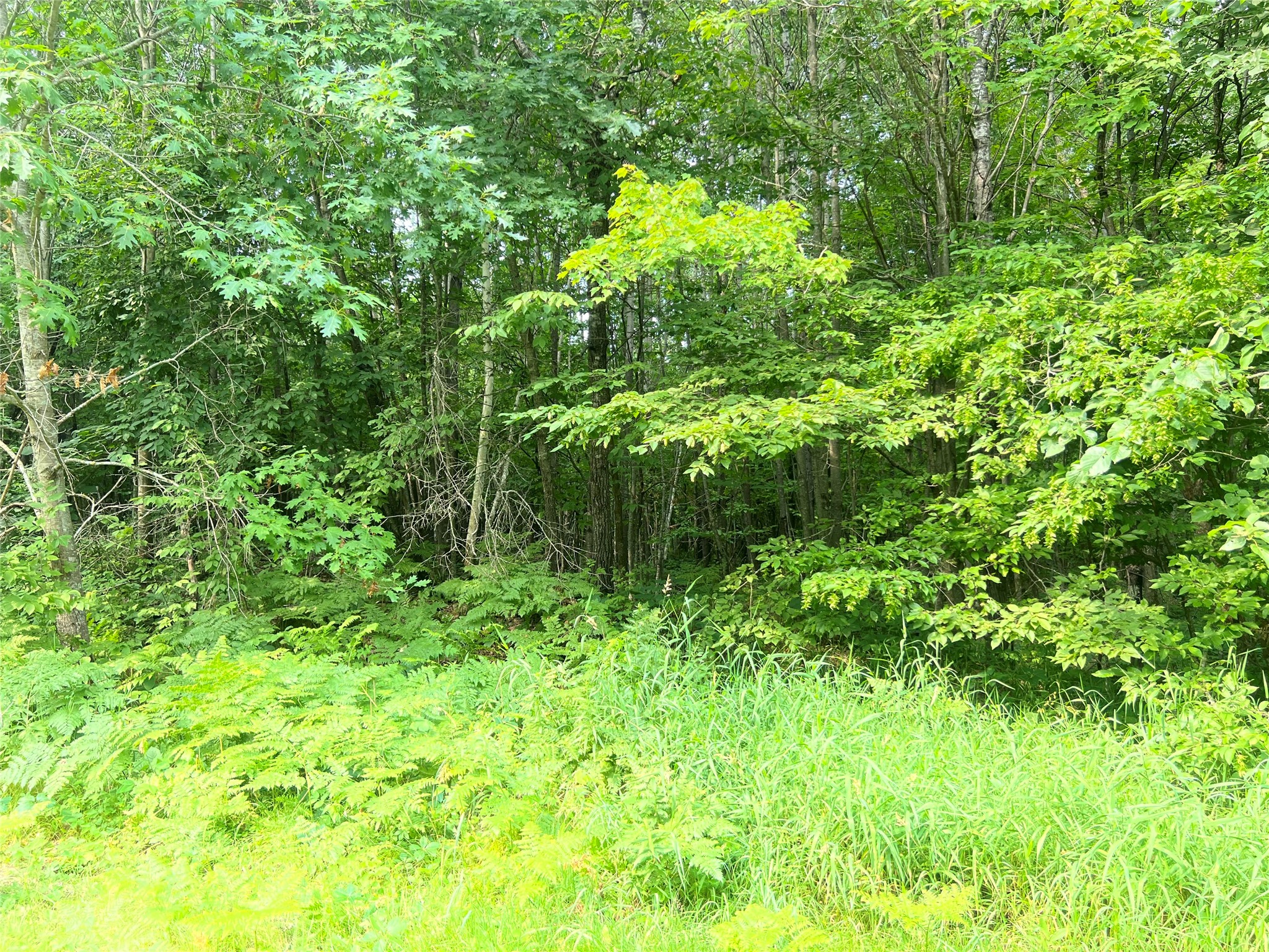 23871 Tollander Road Property Photo 41