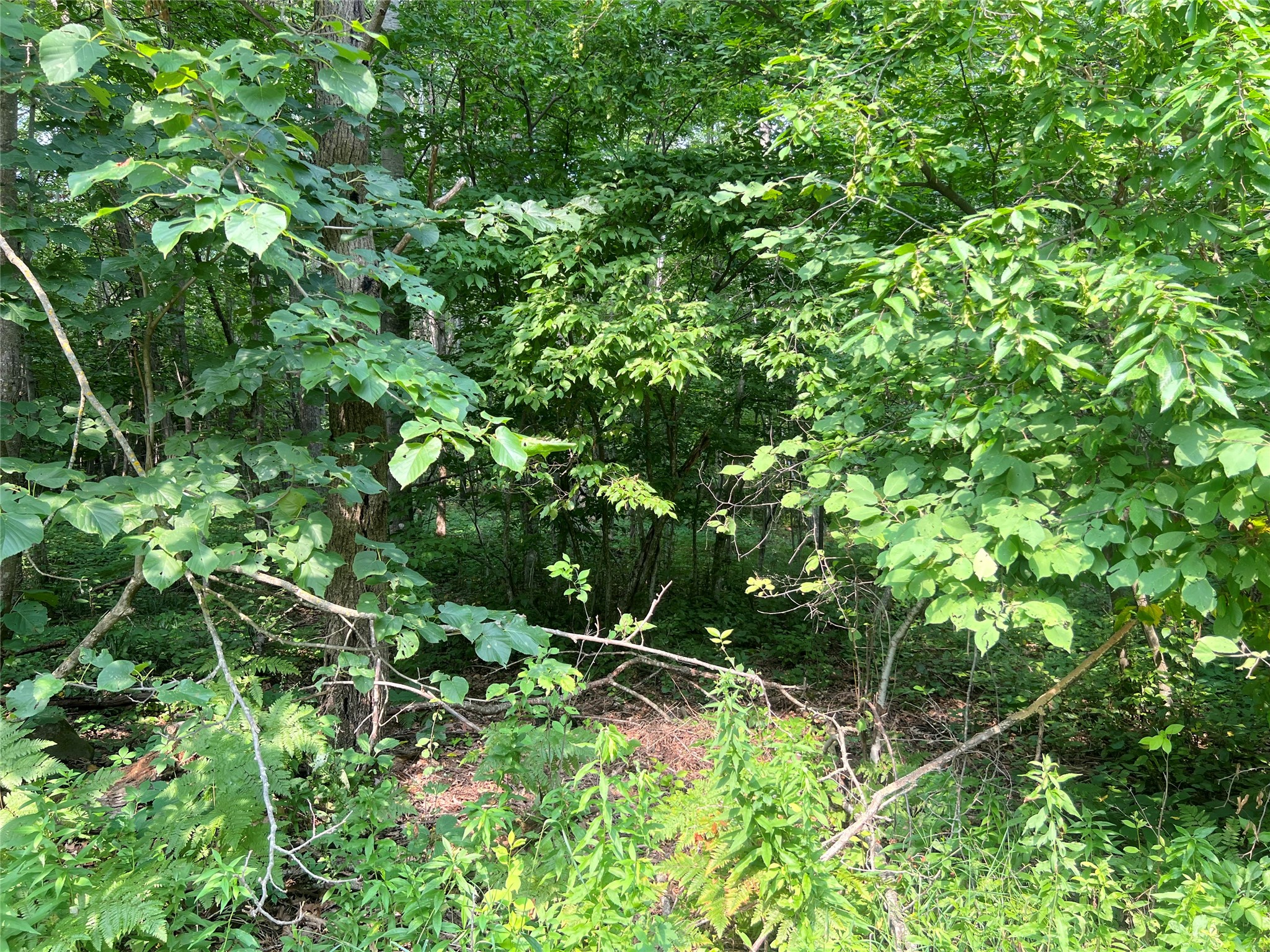 23871 Tollander Road Property Photo 42