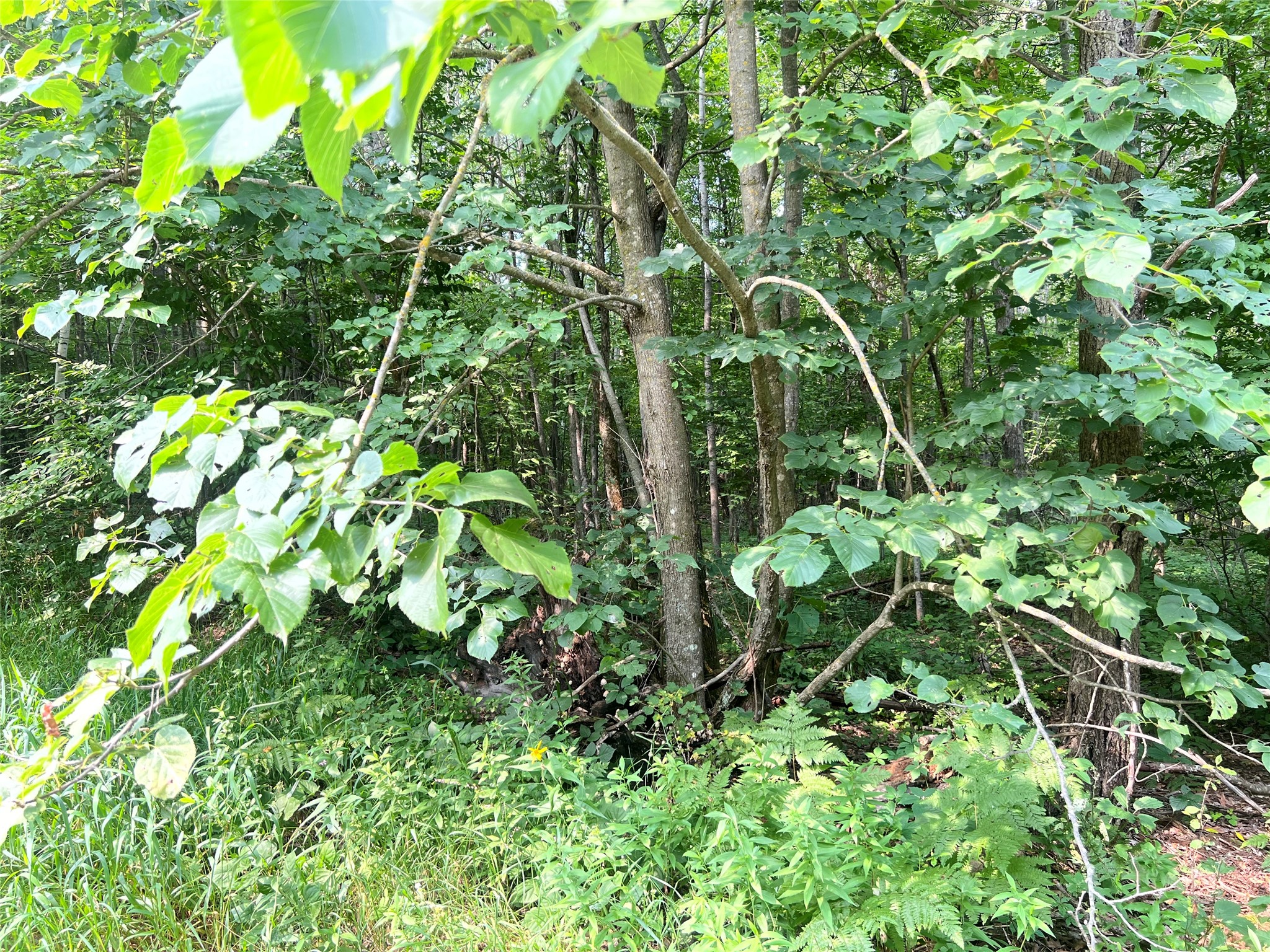 23871 Tollander Road Property Photo 43