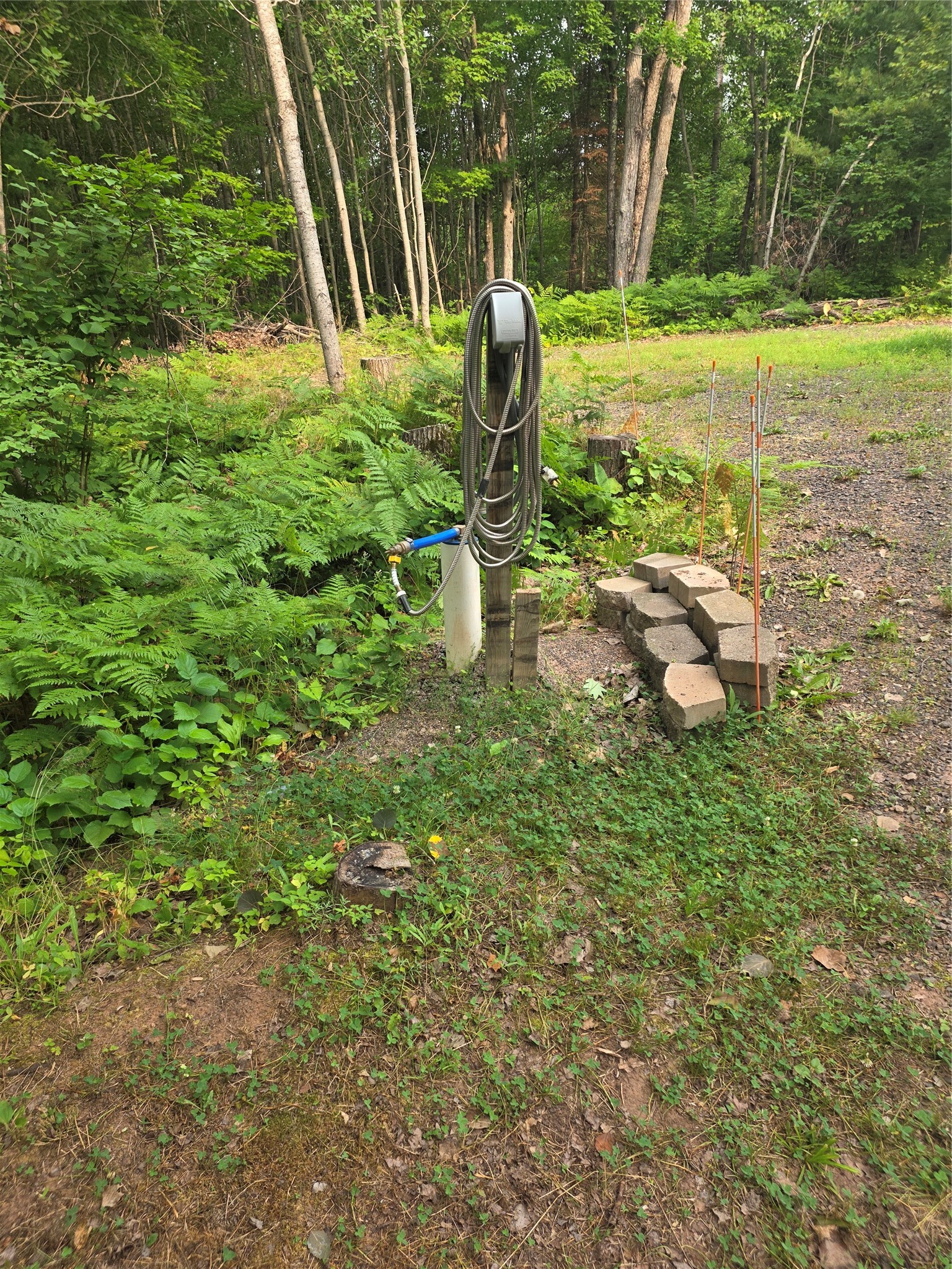 11754 E Knoll Road Property Photo 4