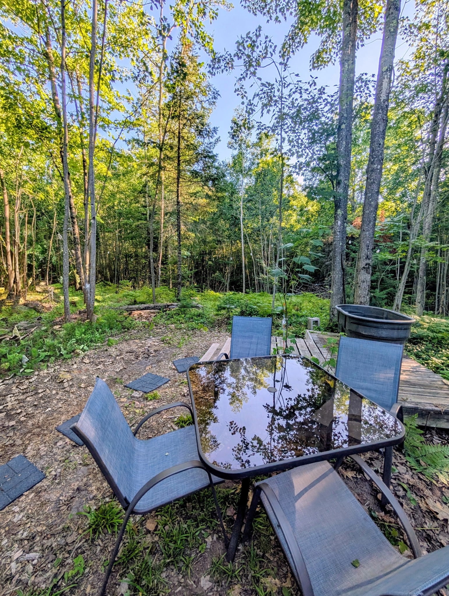 11754 E Knoll Road Property Photo 10