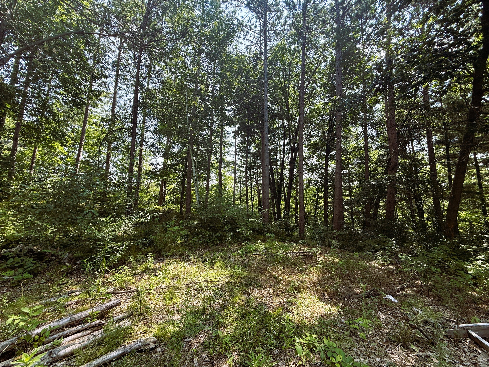 N3720 State Highway 40 Property Photo 2