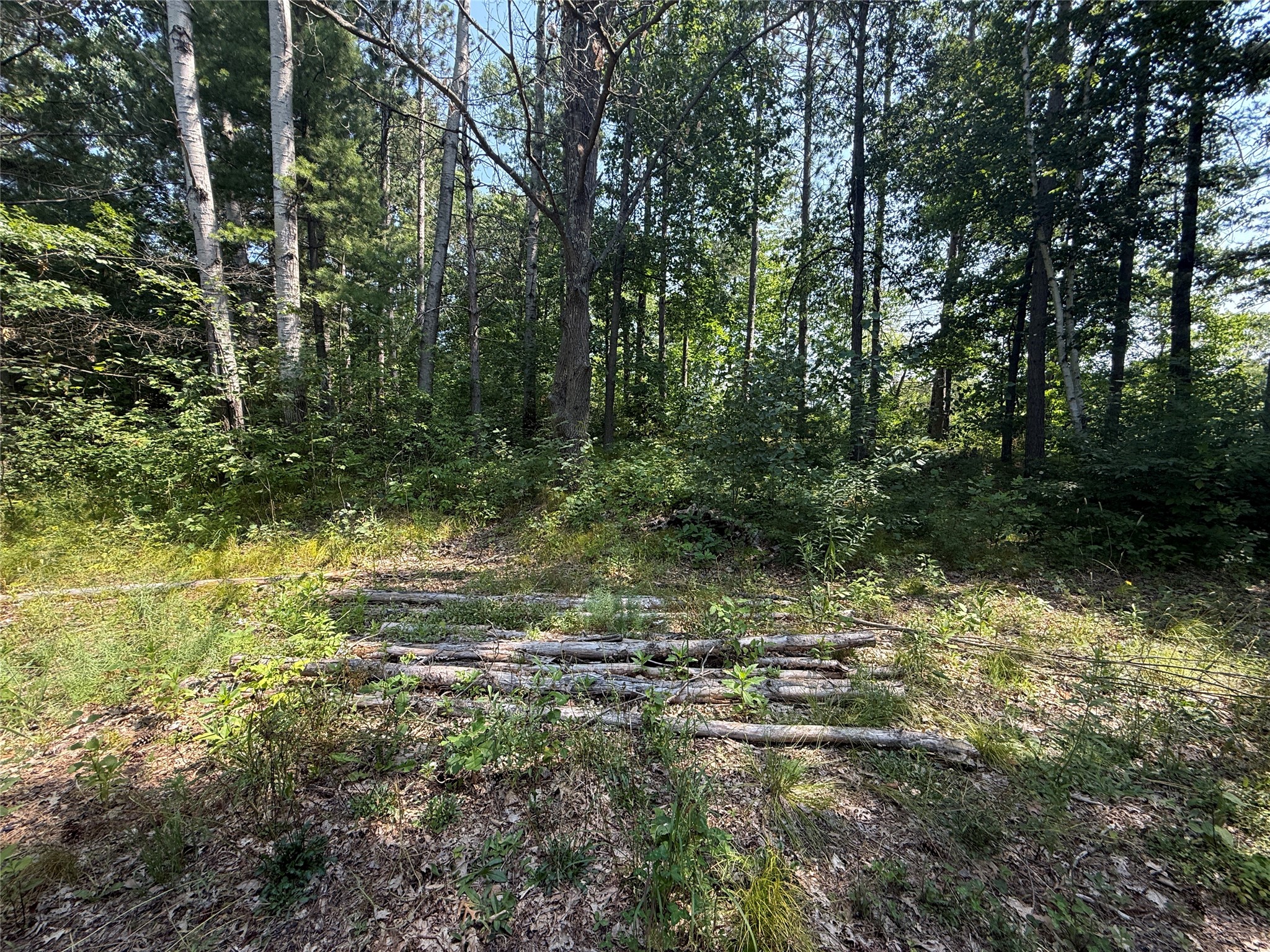 N3720 State Highway 40 Property Photo 3