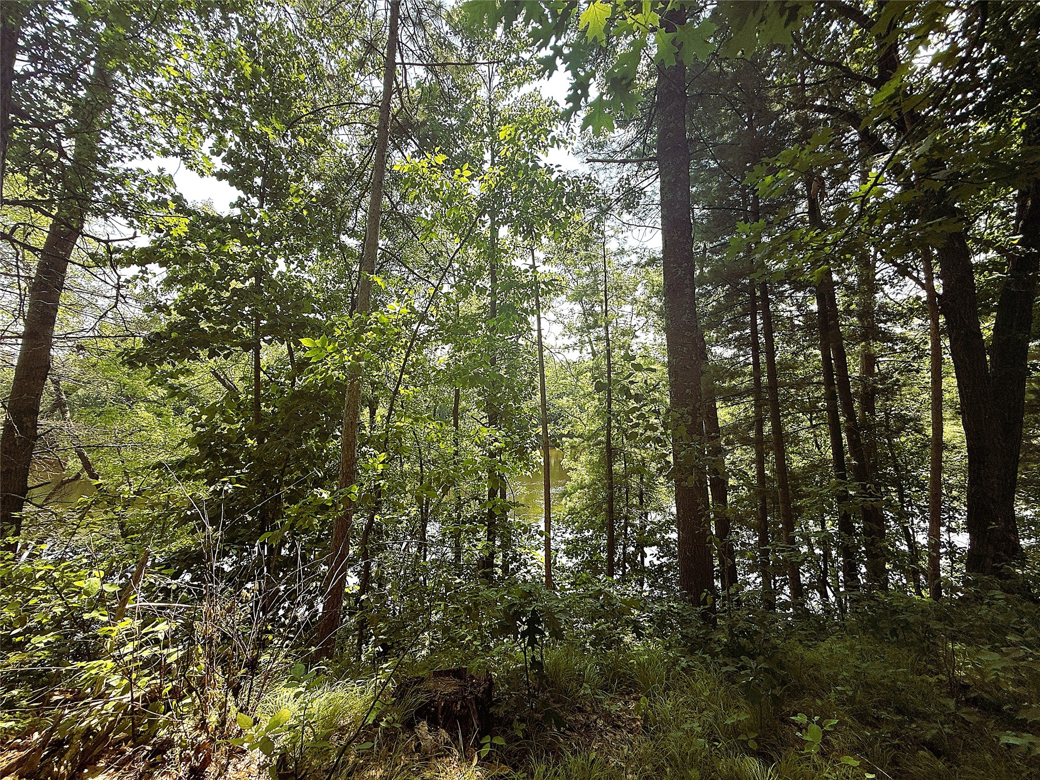 N3720 State Highway 40 Property Photo 4