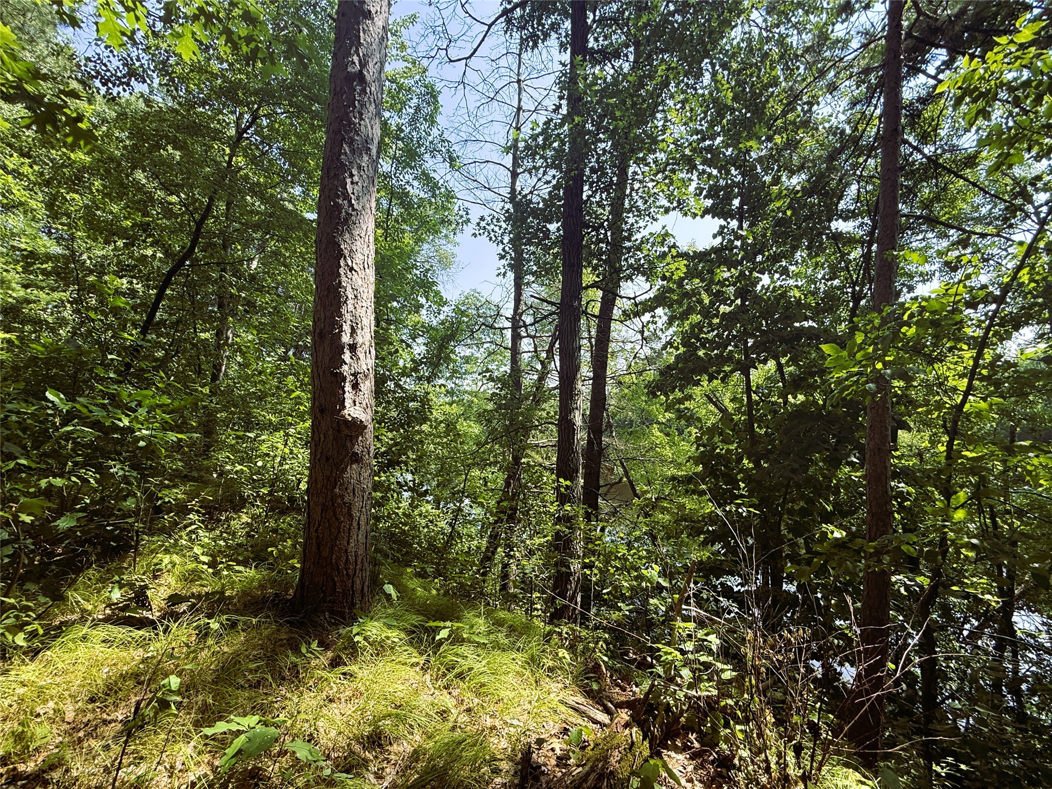 N3720 State Highway 40 Property Photo 5