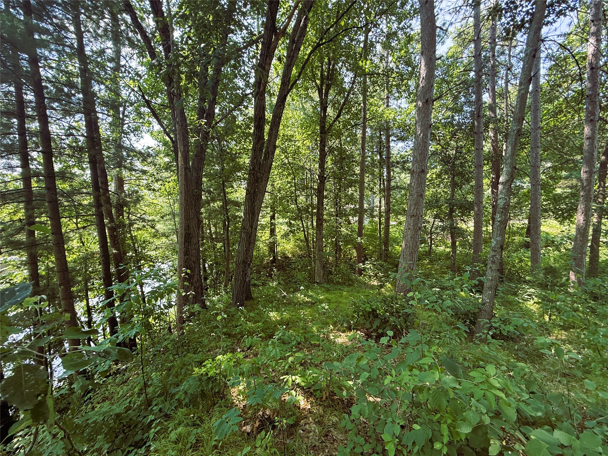 N3720 State Highway 40 Property Photo 6