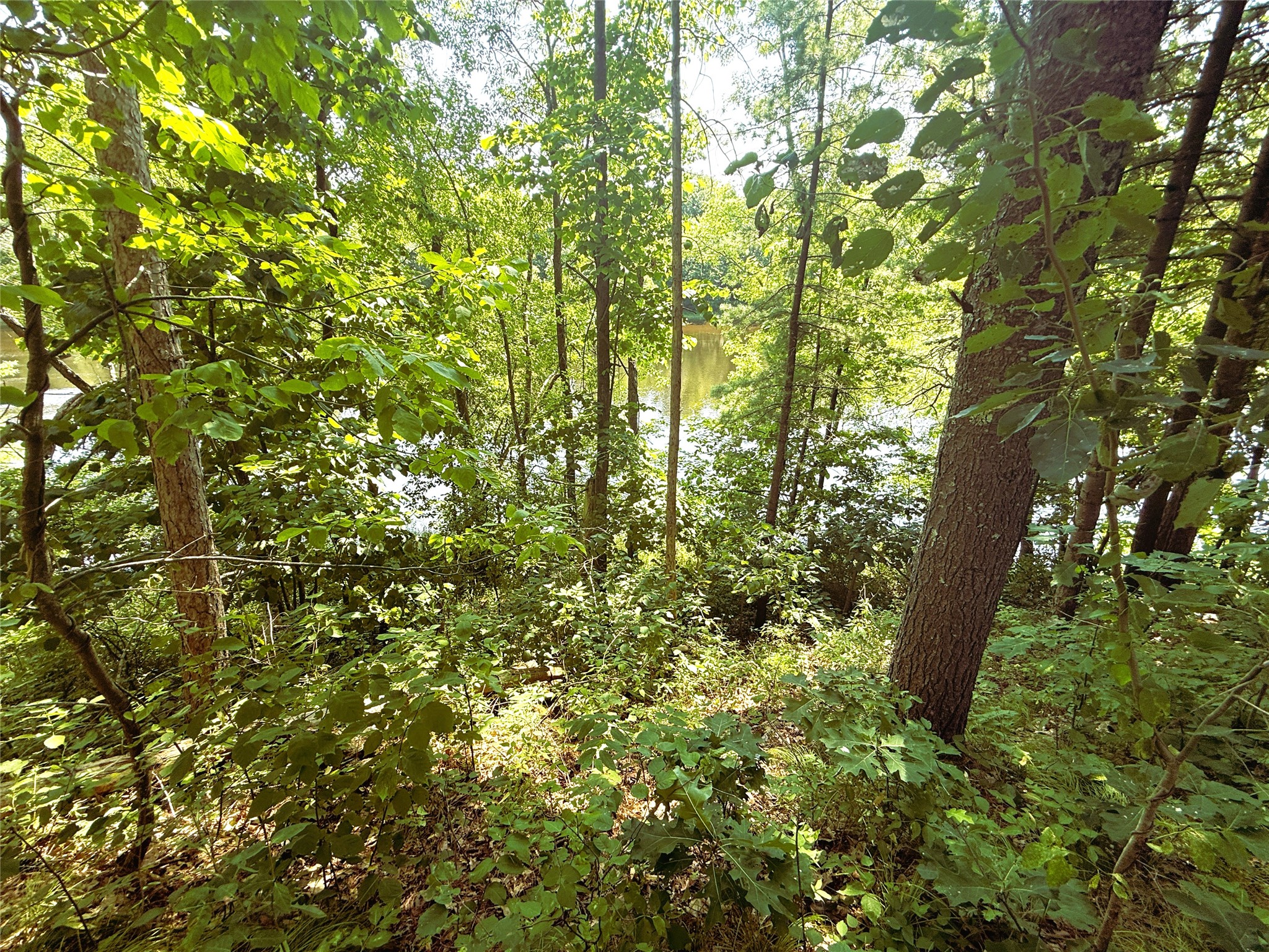 N3720 State Highway 40 Property Photo 8
