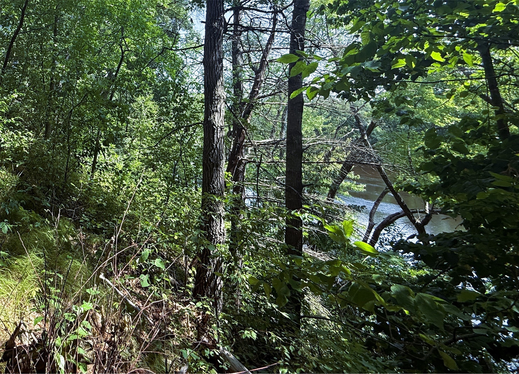 N3720 State Highway 40 Property Photo 9