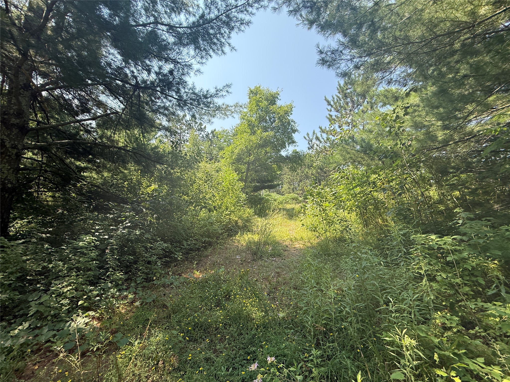 N3720 State Highway 40 Property Photo 10