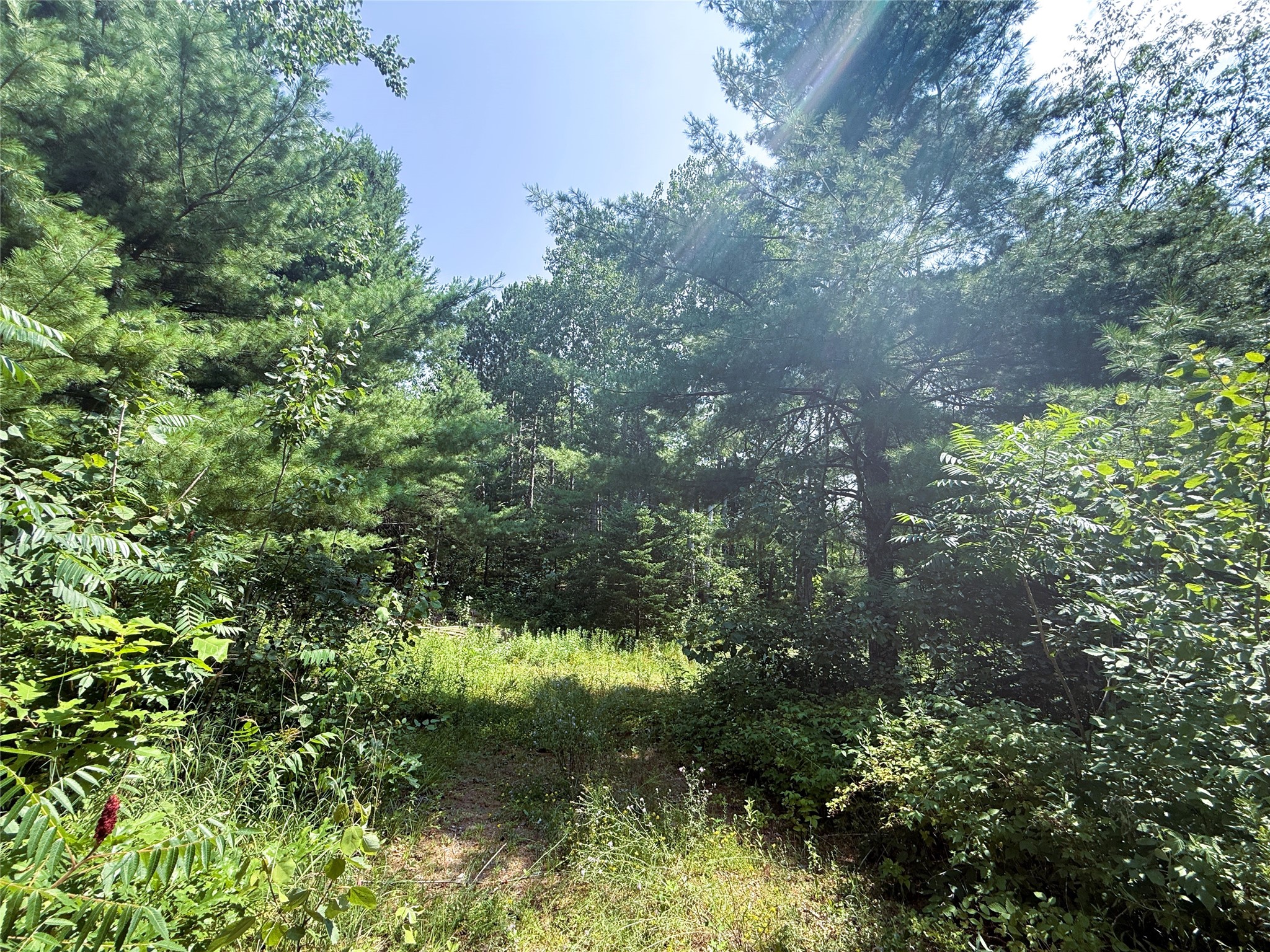 N3720 State Highway 40 Property Photo 11