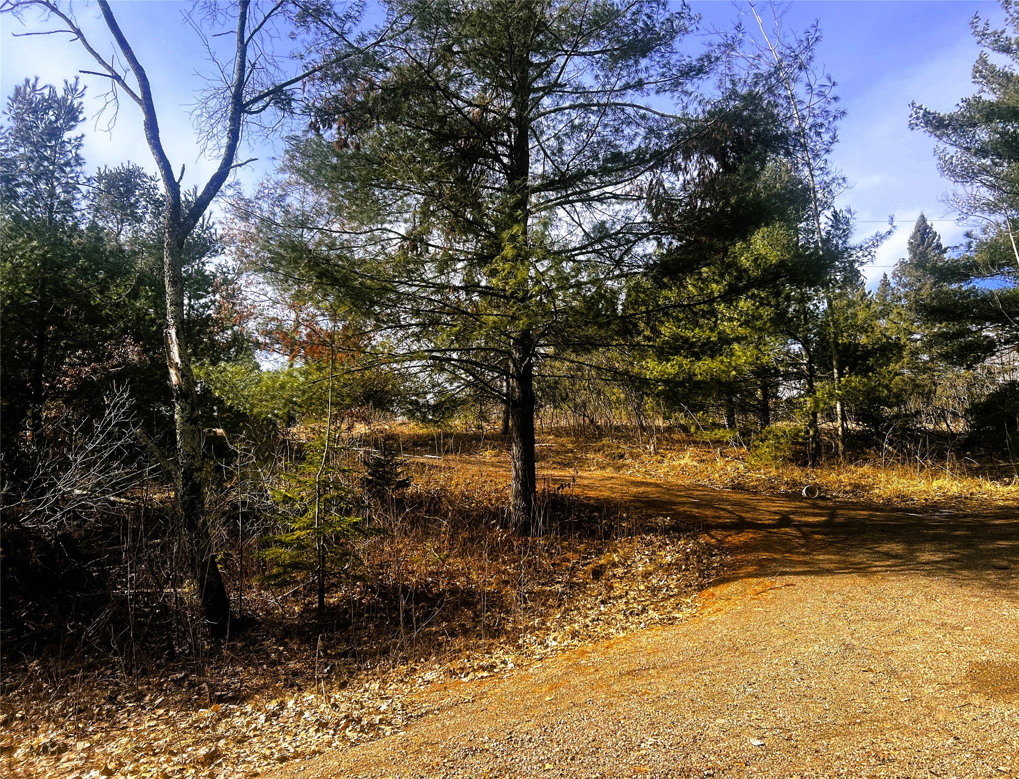 N3720 State Highway 40 Property Photo 13