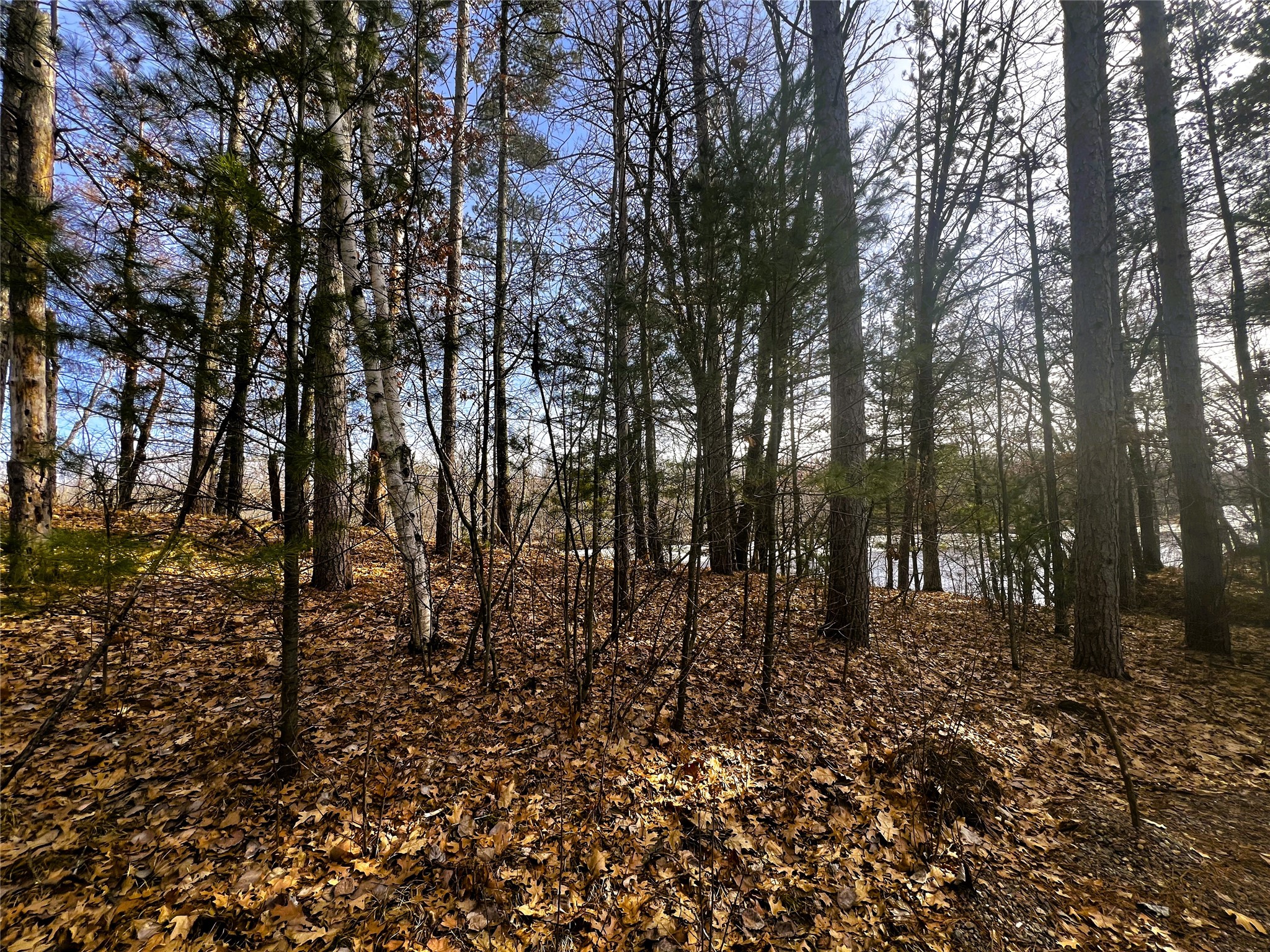 N3720 State Highway 40 Property Photo 19