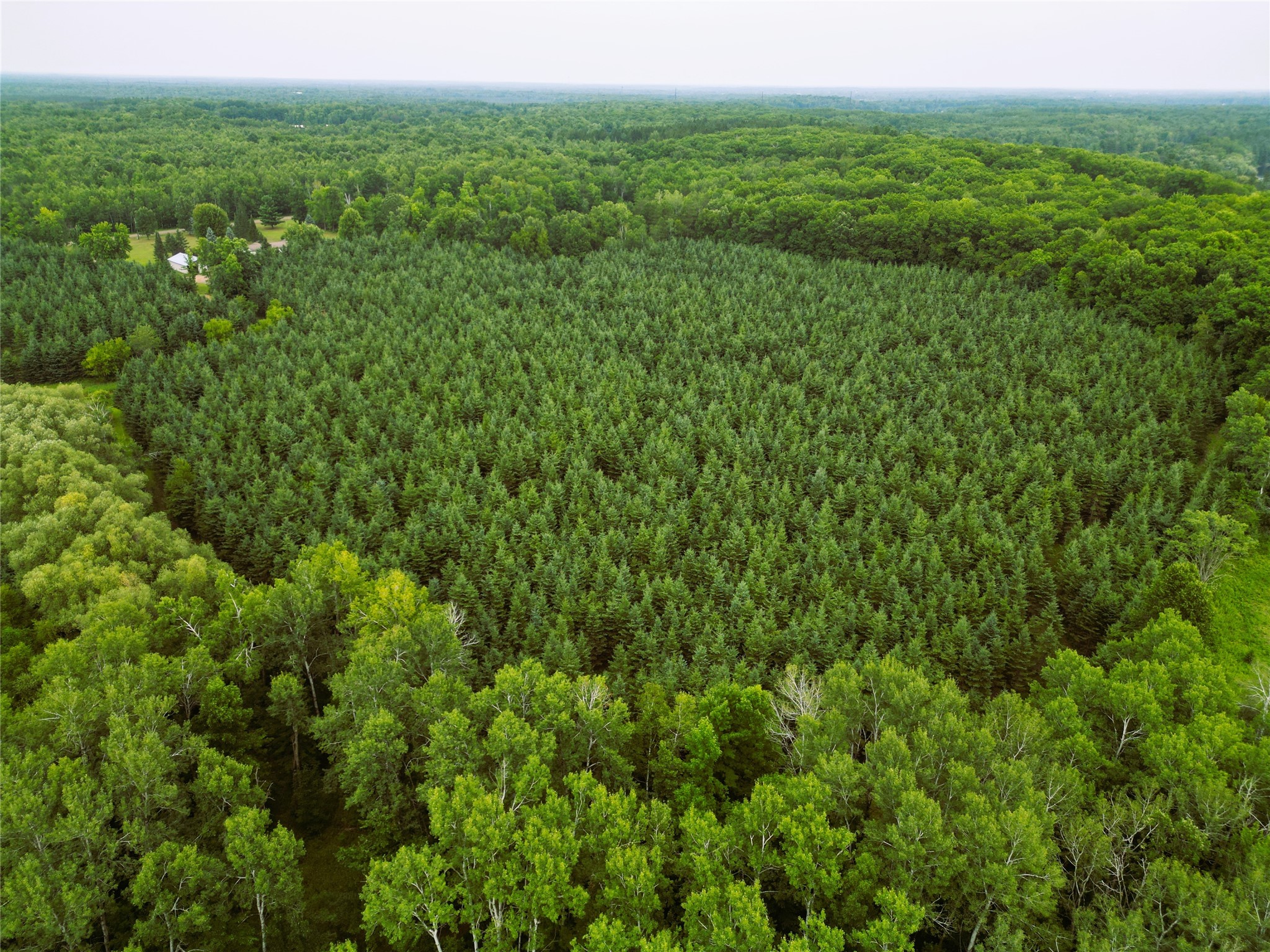 W9603 Ducommun Road Property Photo 40