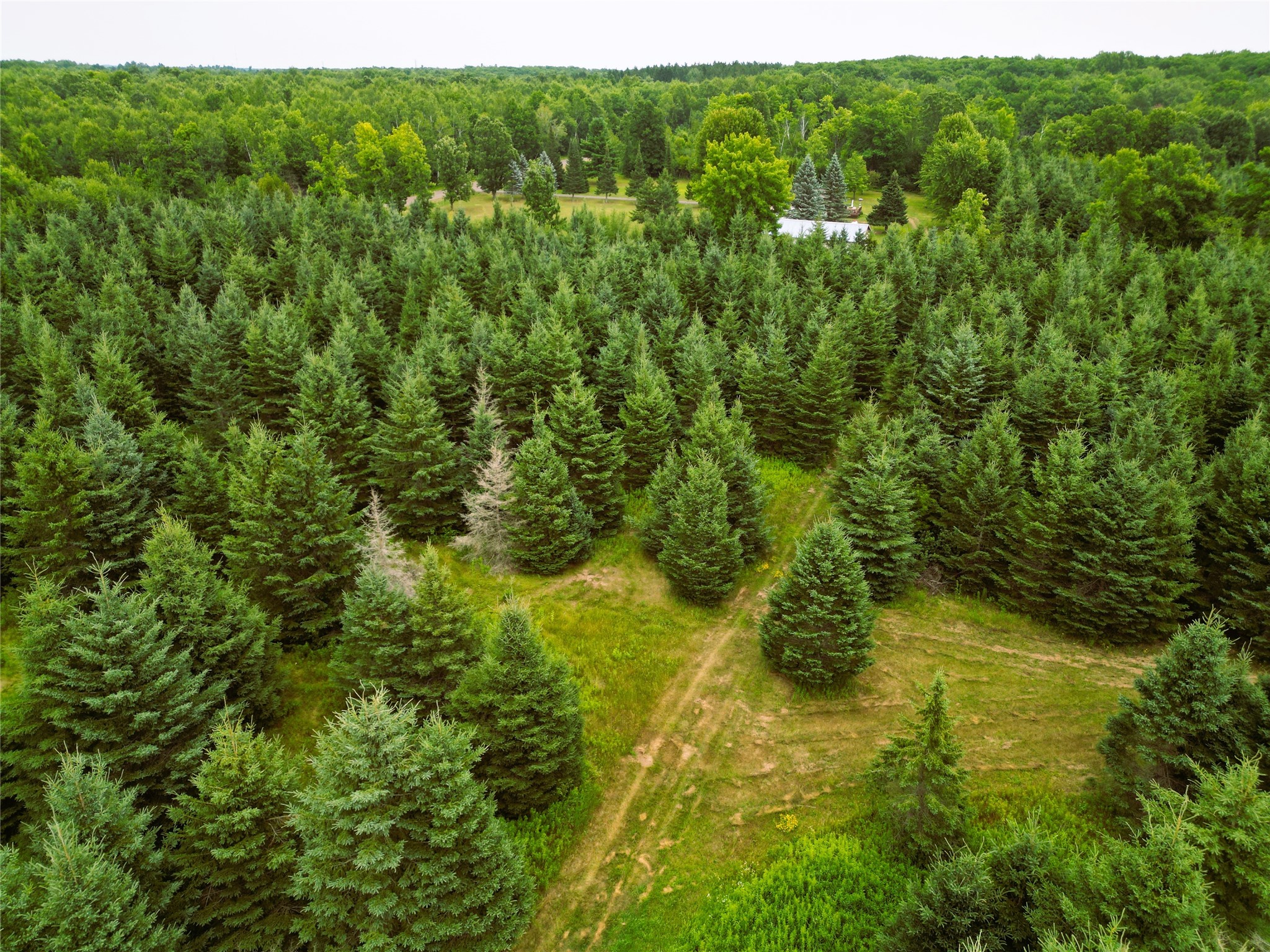 W9603 Ducommun Road Property Photo 42