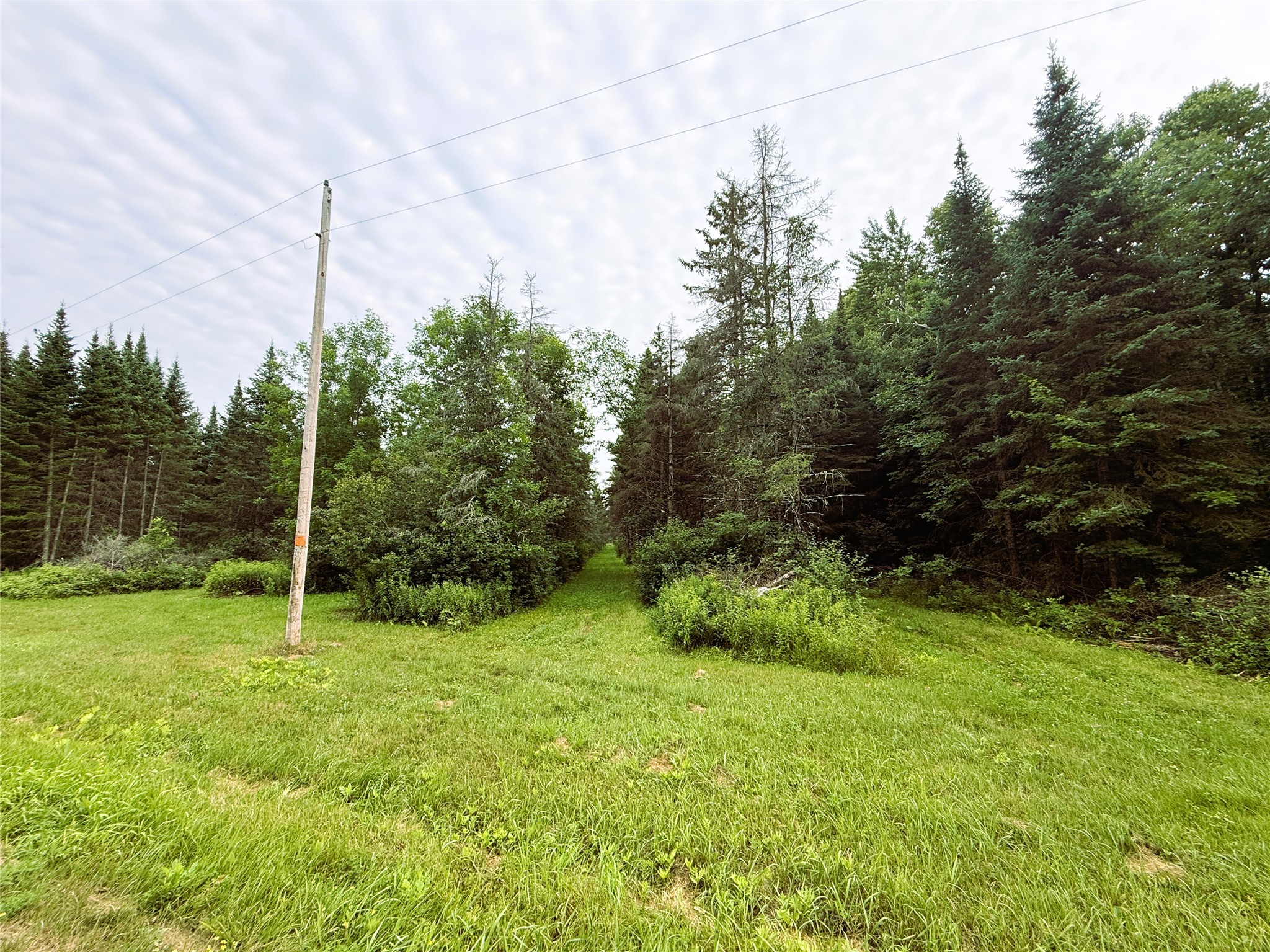 W9603 Ducommun Road Property Photo 44