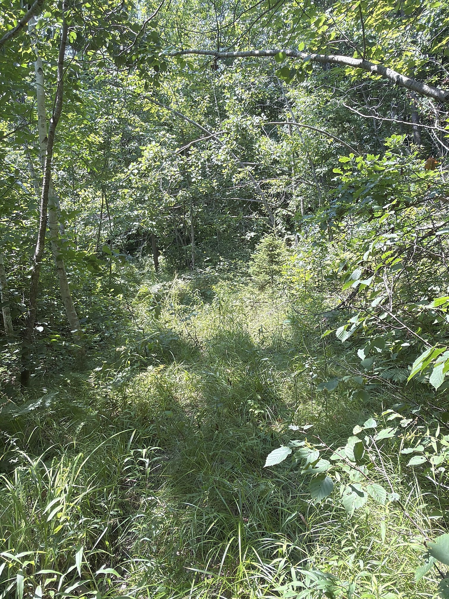 3500 N Historic Road Property Photo 28