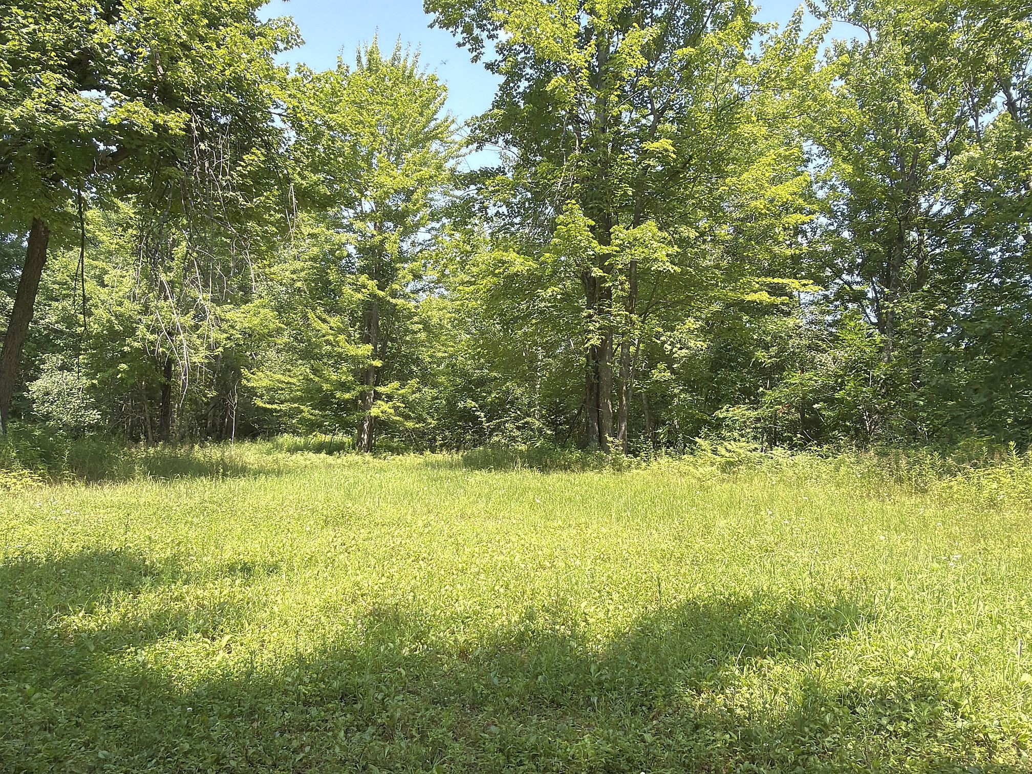 3500 N Historic Road Property Photo 31
