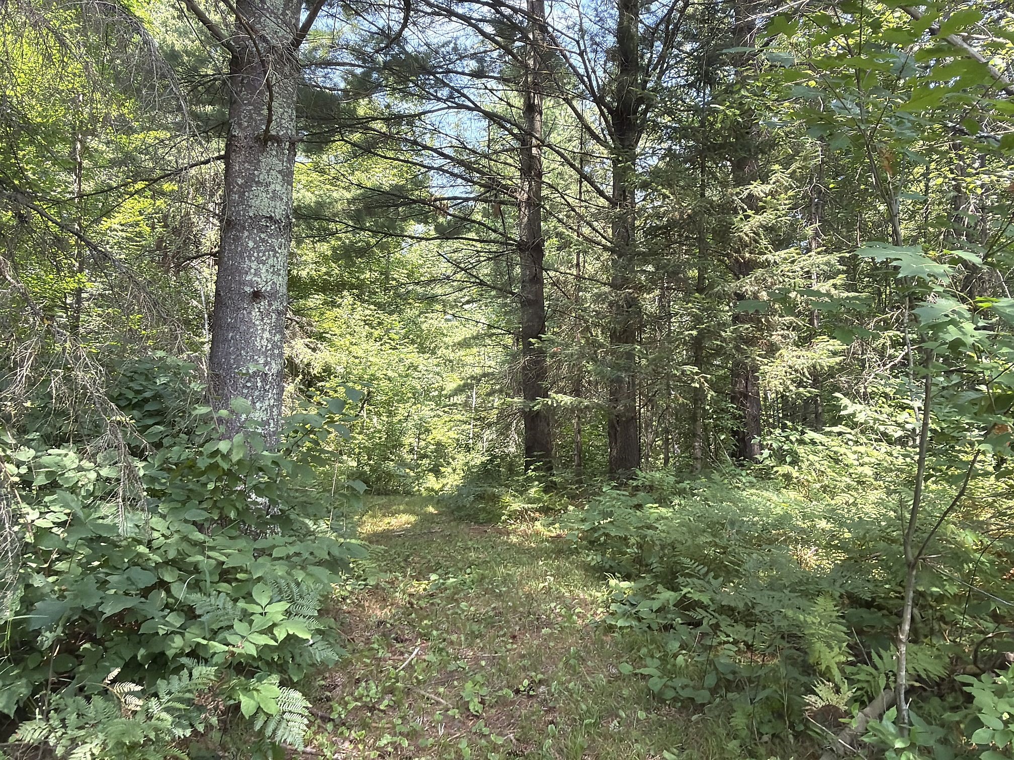 3500 N Historic Road Property Photo 38