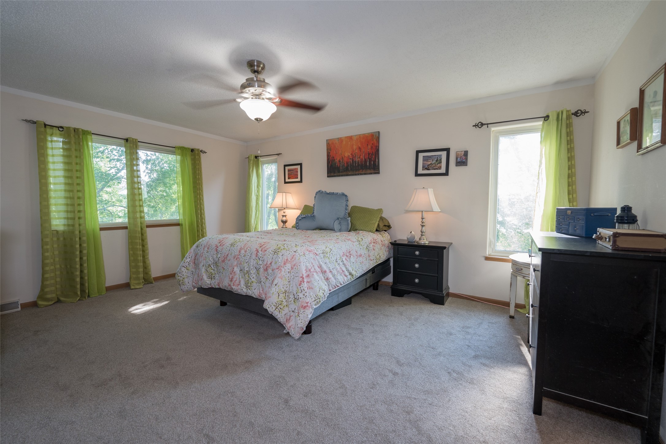 S373 Dammen Road Property Photo 22