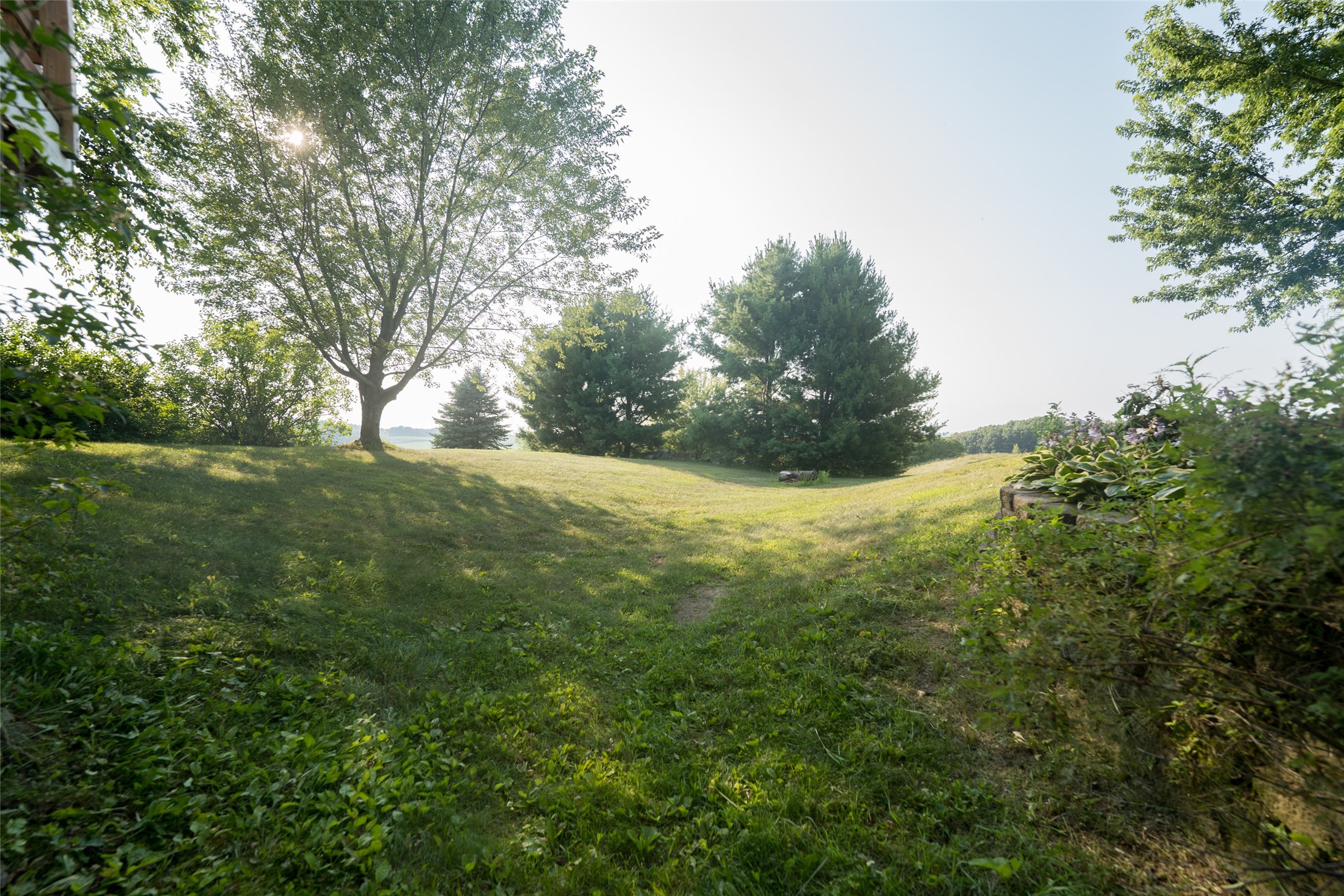 S373 Dammen Road Property Photo 41