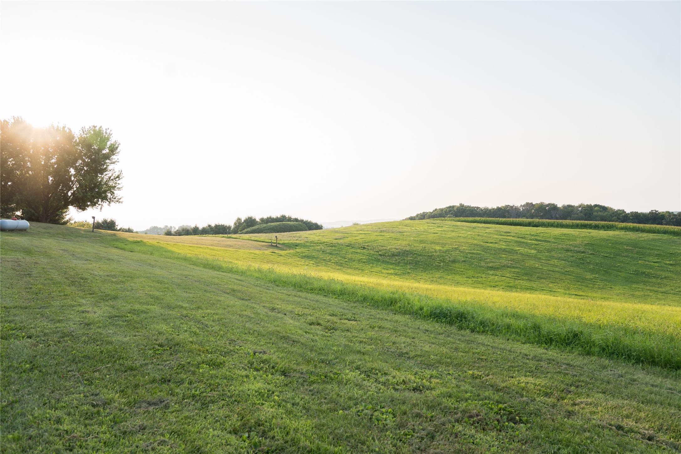 S373 Dammen Road Property Photo 55