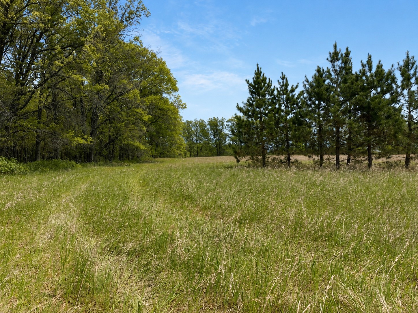 Lot 7 Misty Meadows Drive Property Photo 1