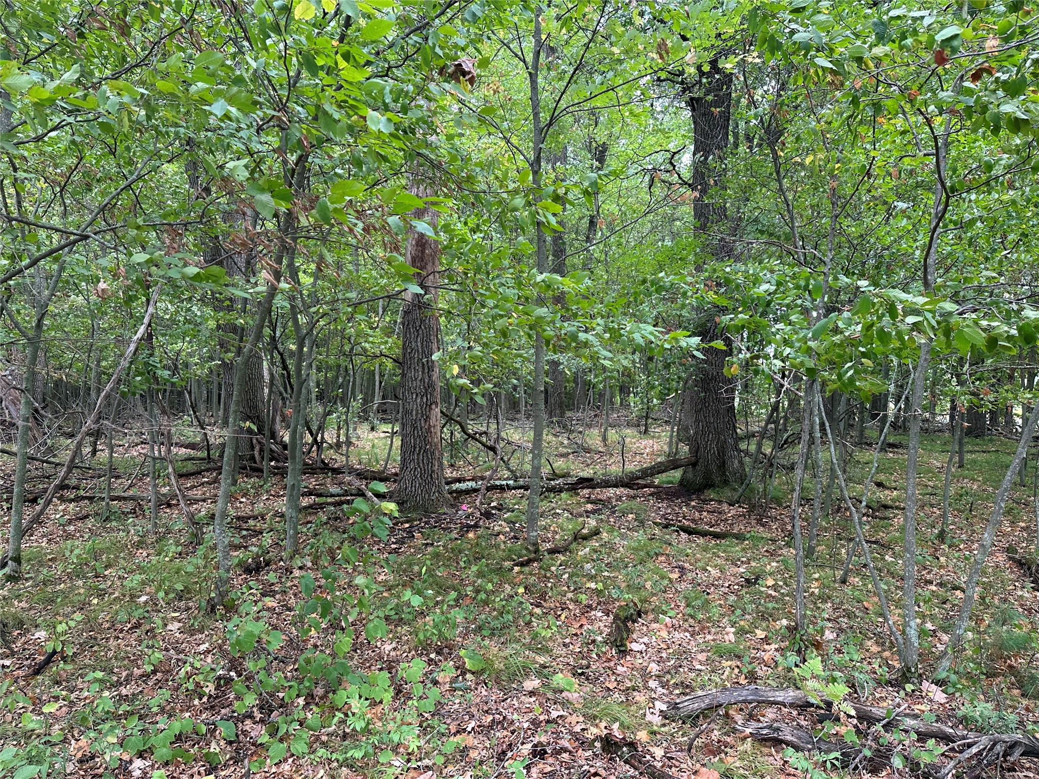 Lot 7 Misty Meadows Drive Property Photo 2