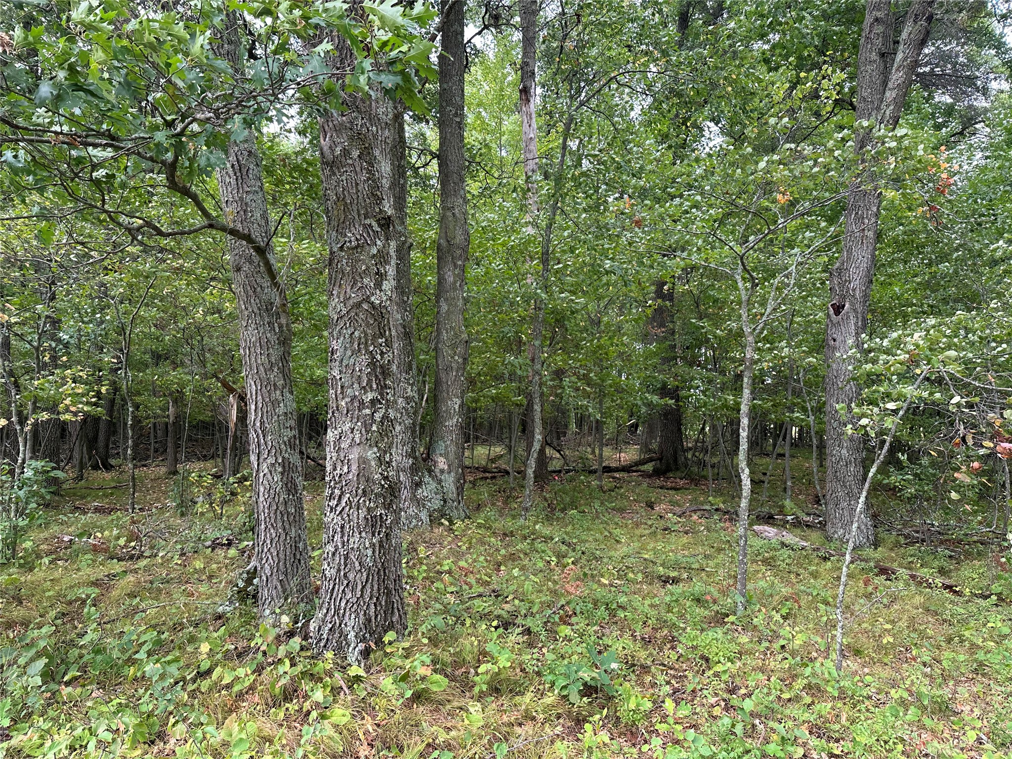 Lot 7 Misty Meadows Drive Property Photo 3