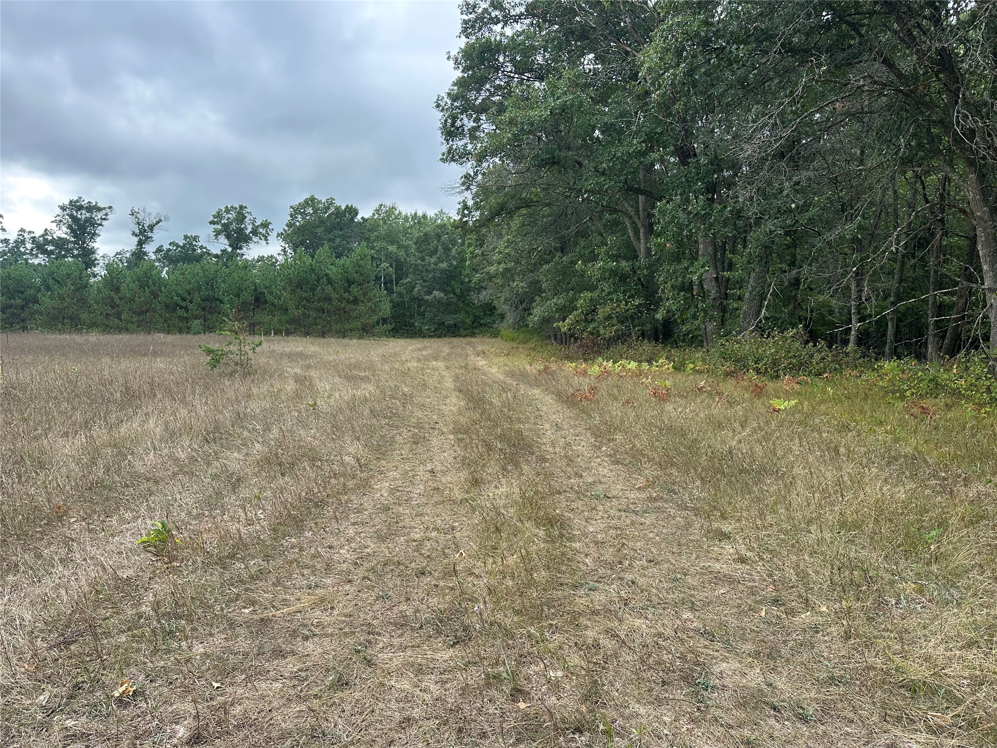 Lot 7 Misty Meadows Drive Property Photo 5