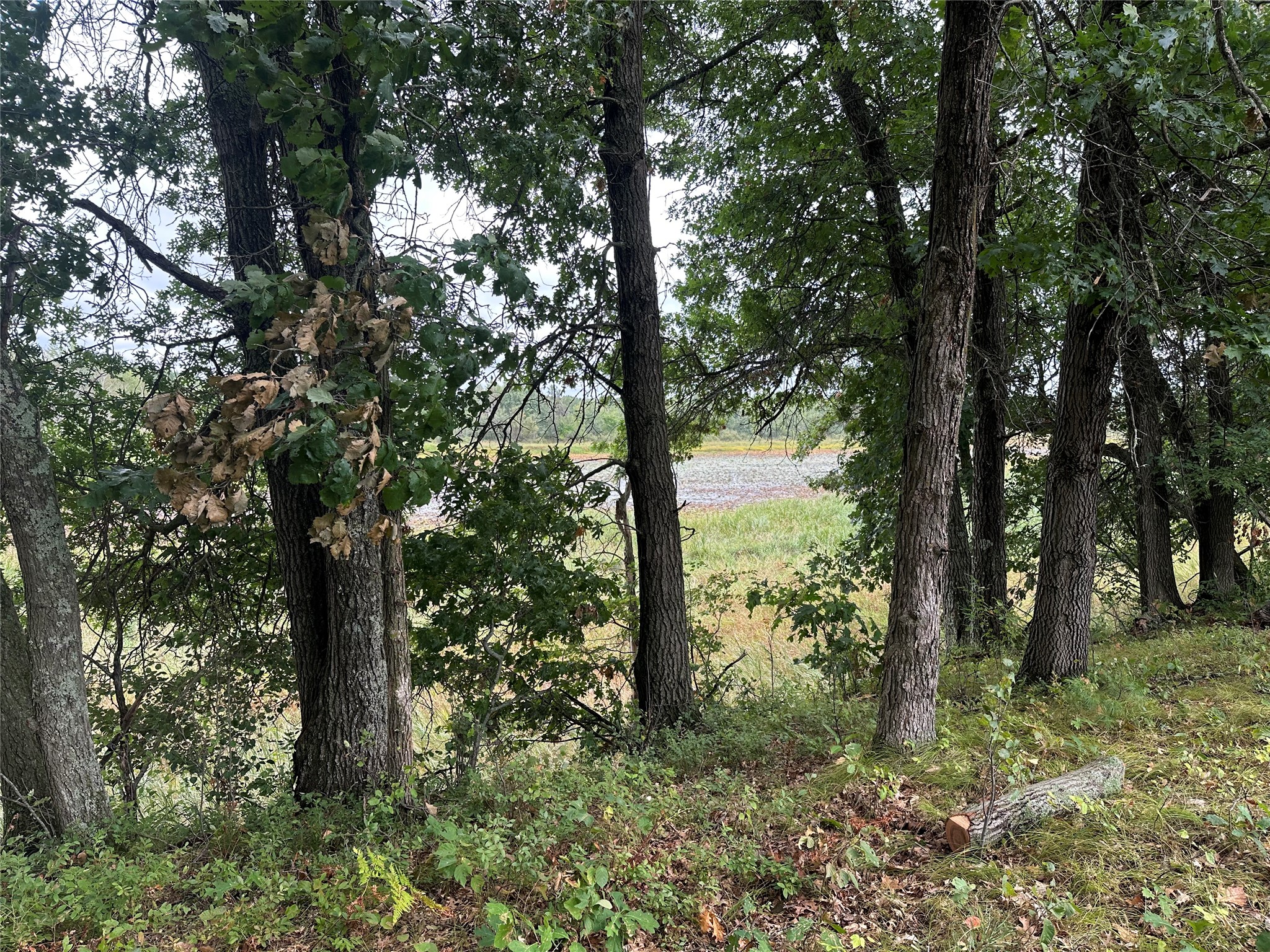 Lot 7 Misty Meadows Drive Property Photo 14