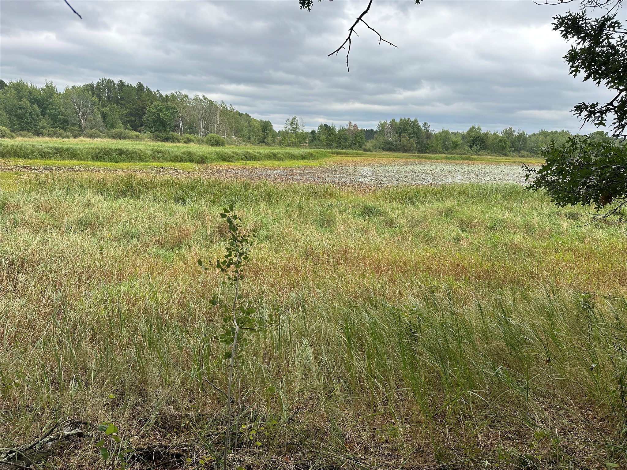 Lot 7 Misty Meadows Drive Property Photo 15