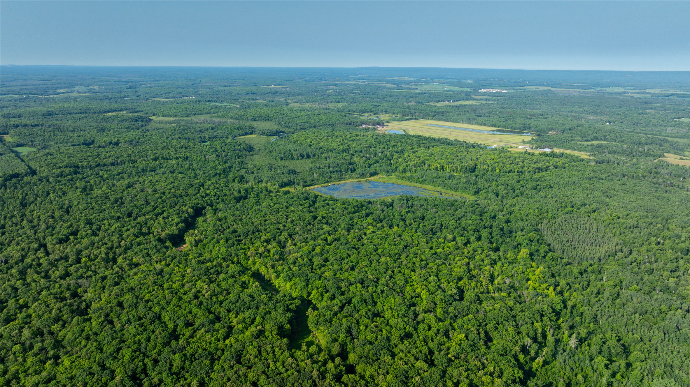 1603684 Property Photo 4
