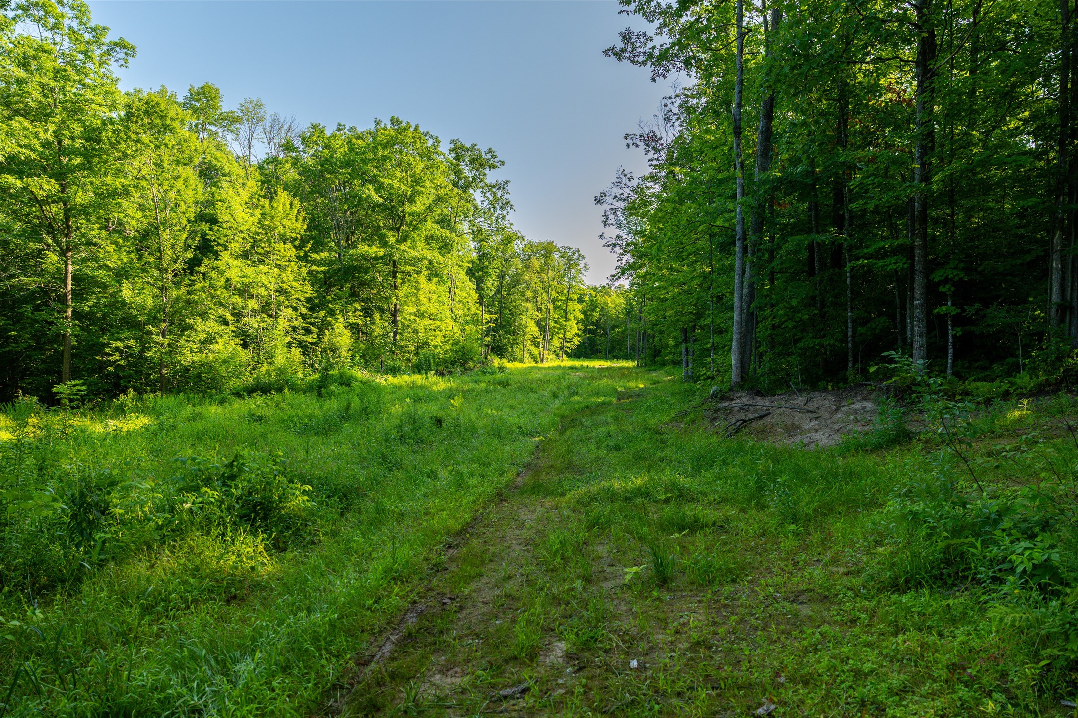 1603684 Property Photo 12