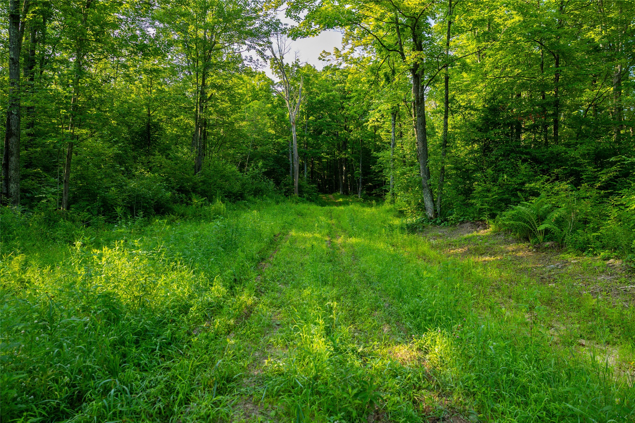 1603684 Property Photo 14