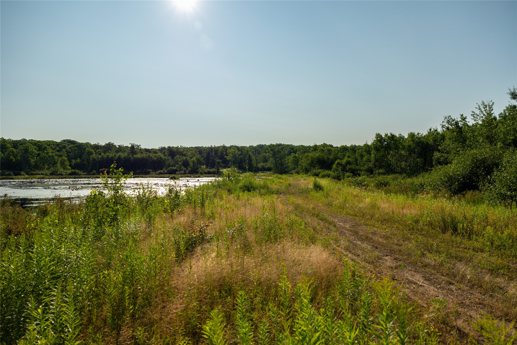 1603684 Property Photo 15