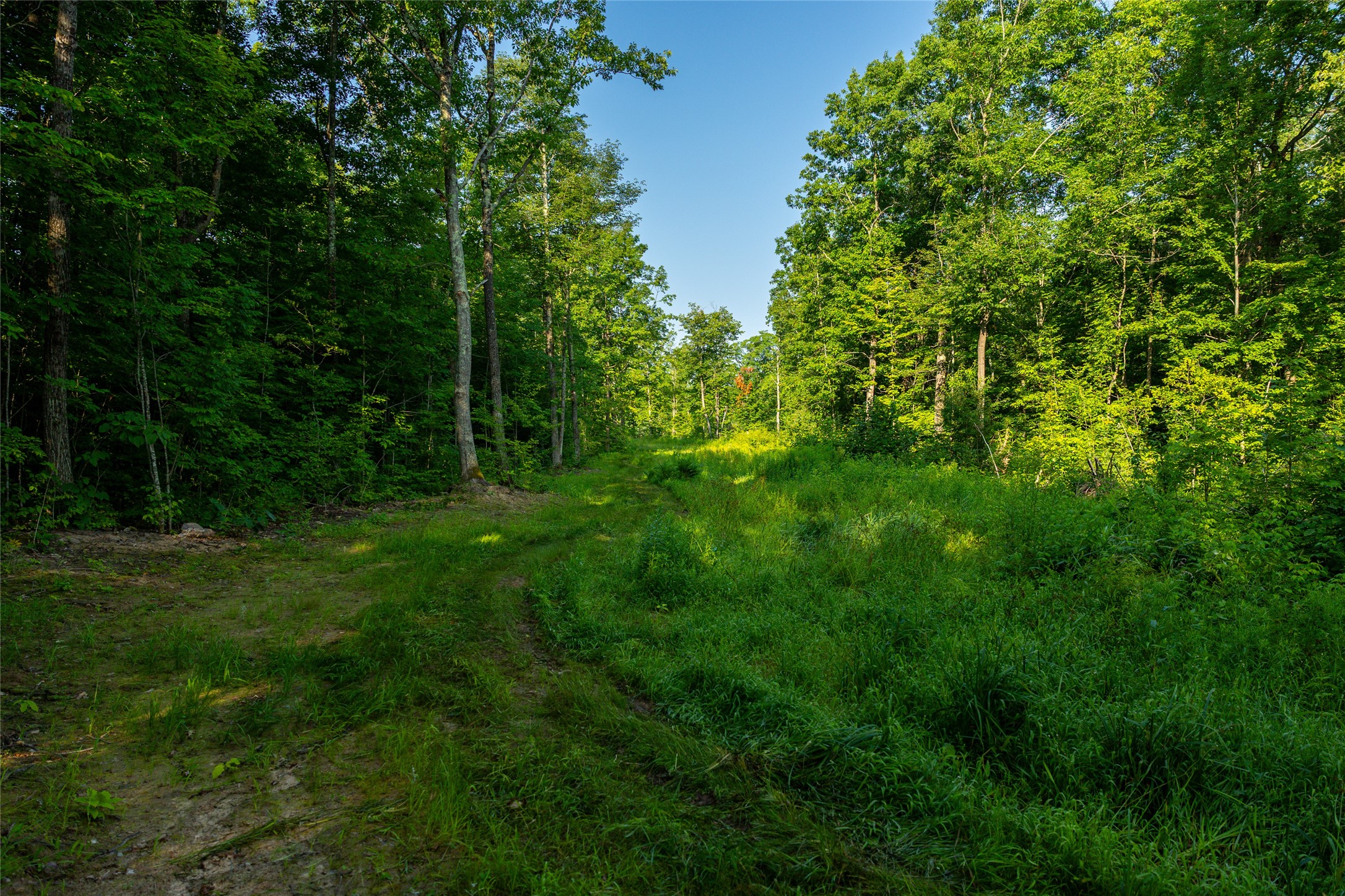 1603684 Property Photo 17