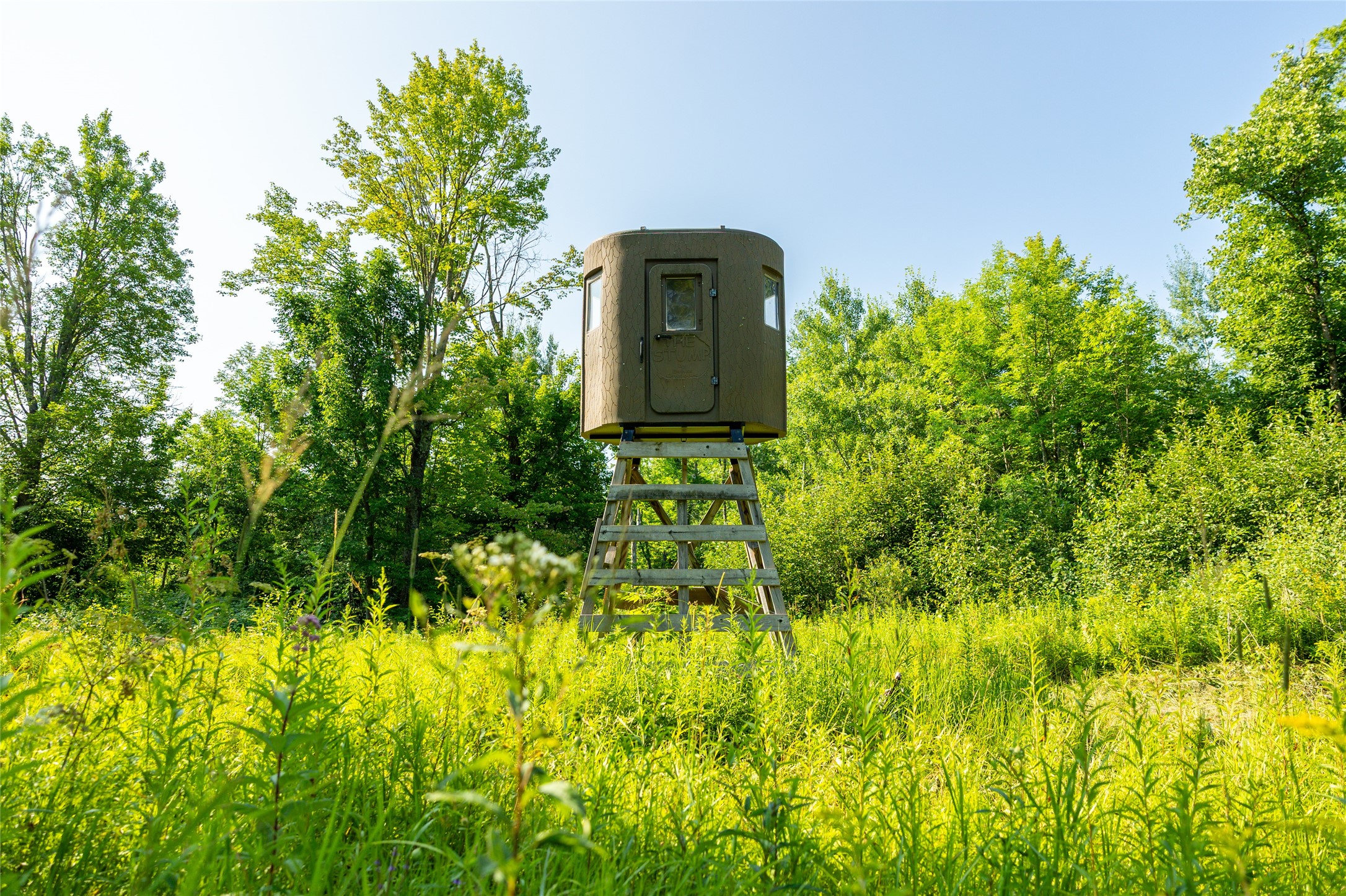 1603684 Property Photo 29