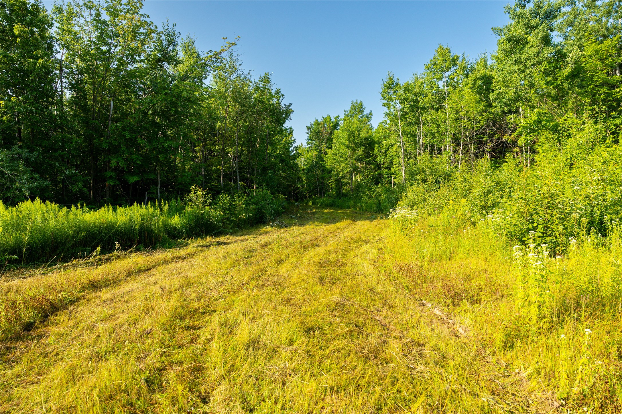 1603684 Property Photo 32