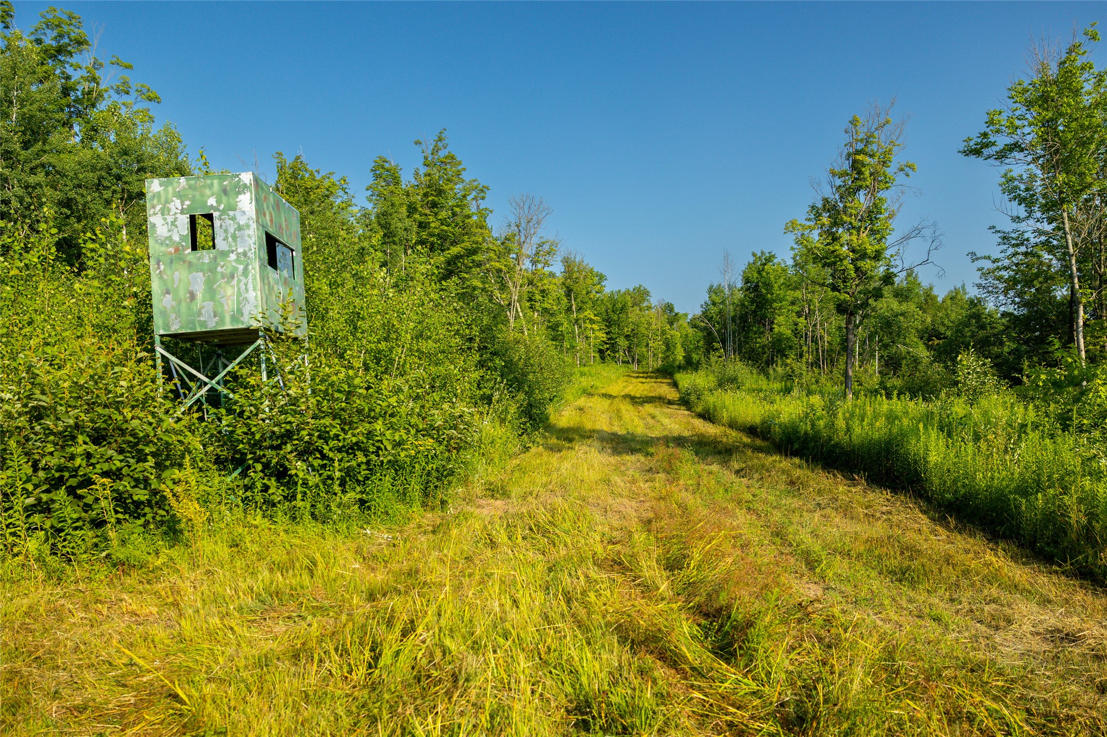 1603684 Property Photo 33