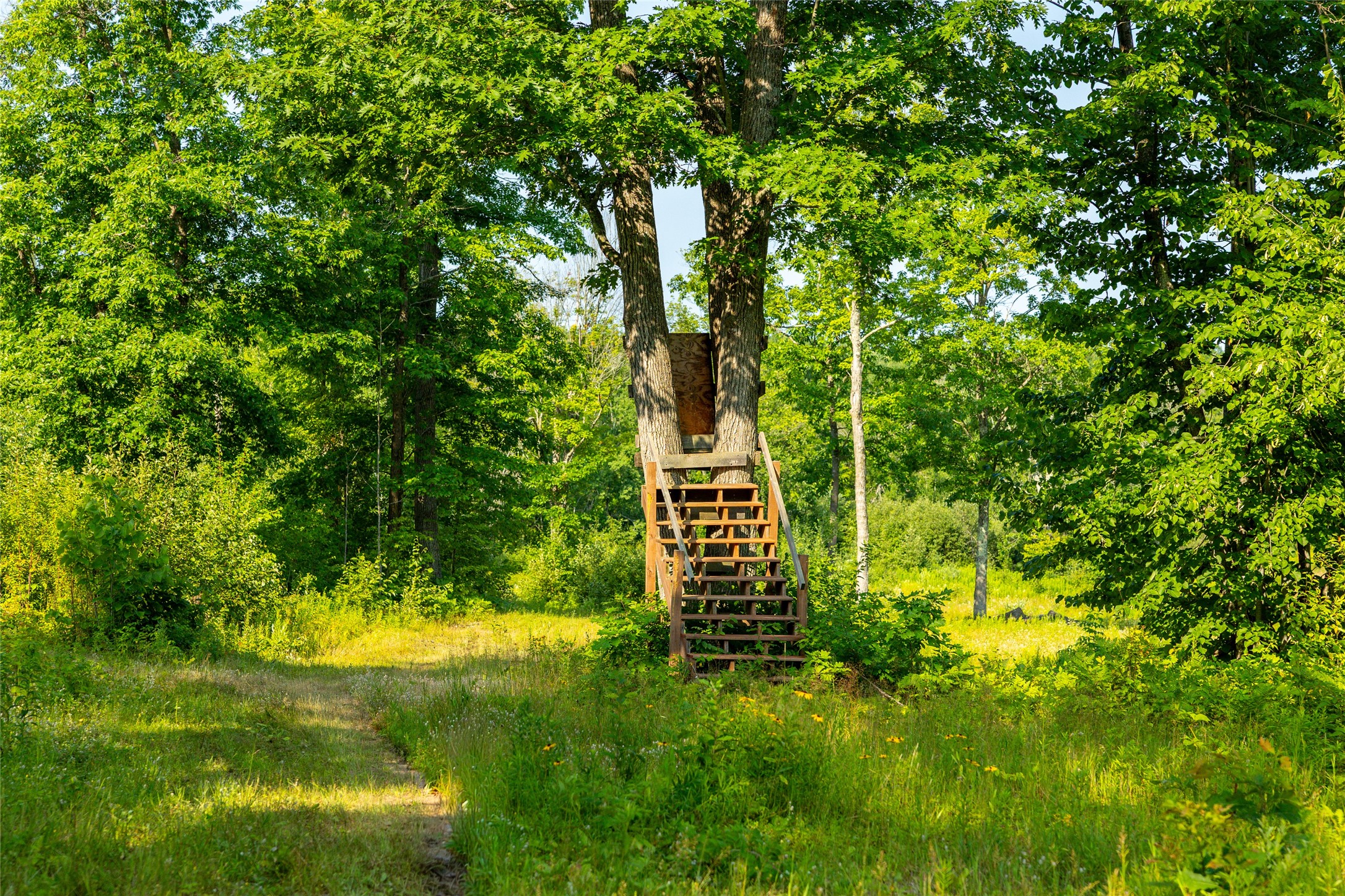 1603684 Property Photo 40