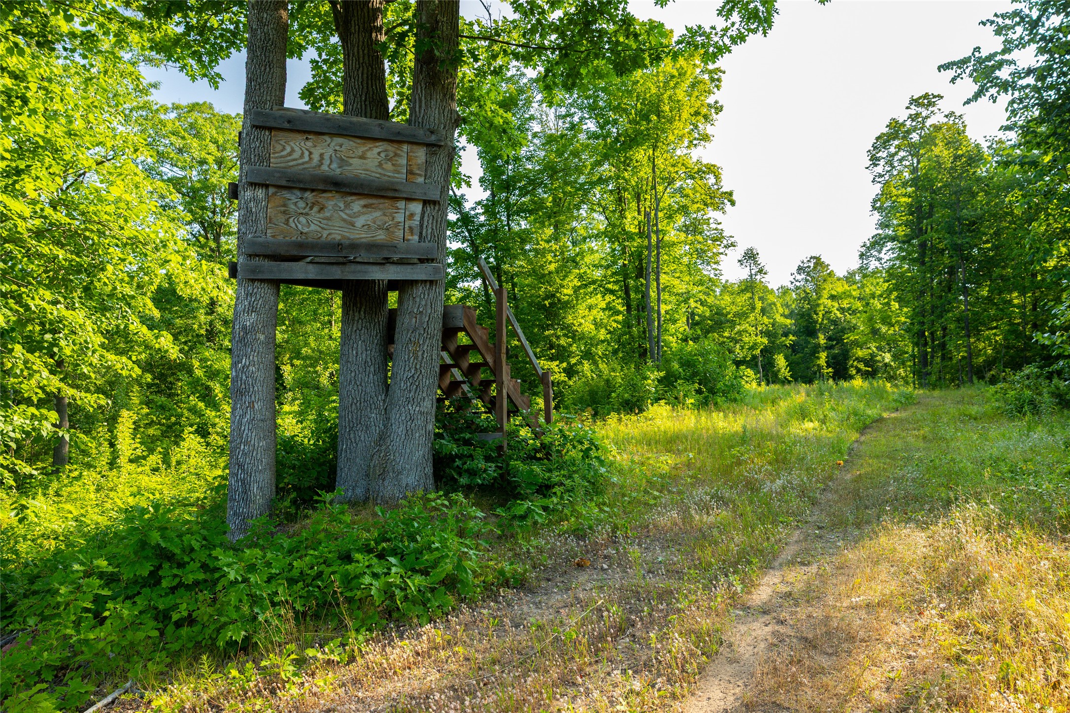 1603684 Property Photo 41