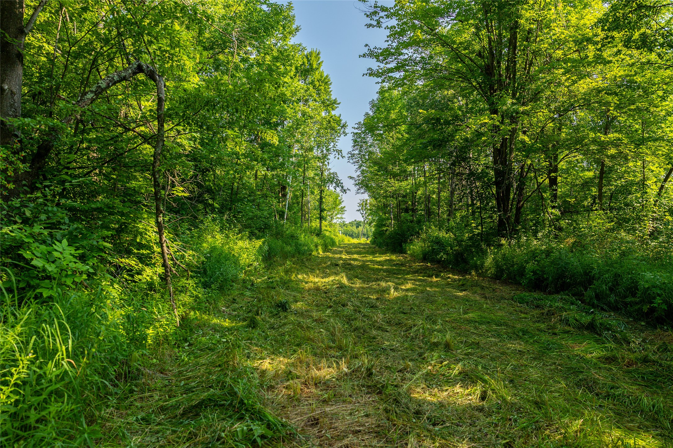 1603684 Property Photo 42