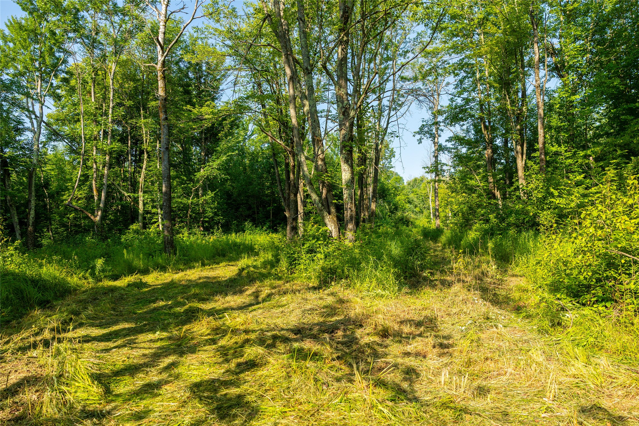 1603684 Property Photo 44