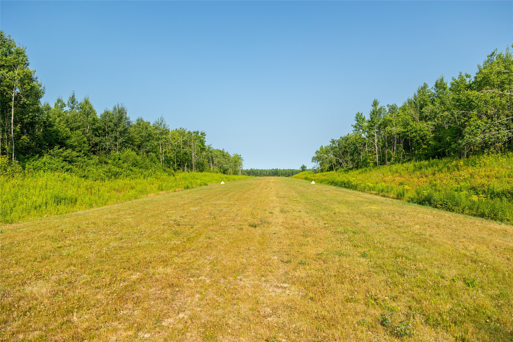 1603684 Property Photo 46