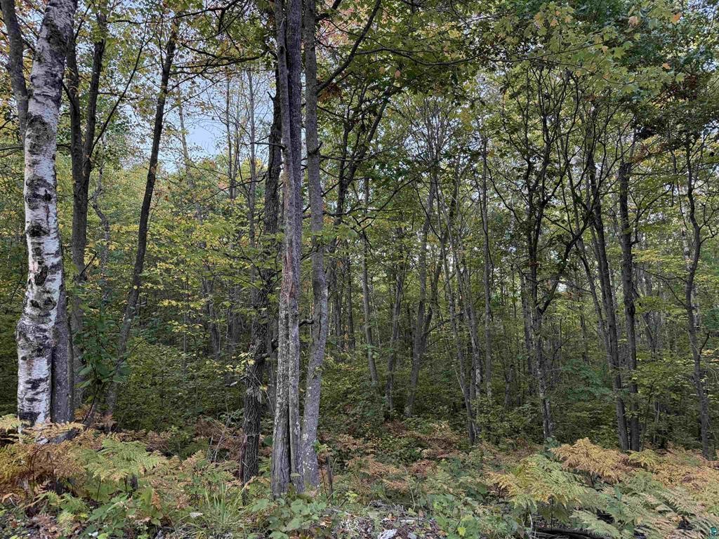 000 Us Highway 2 Property Photo 1