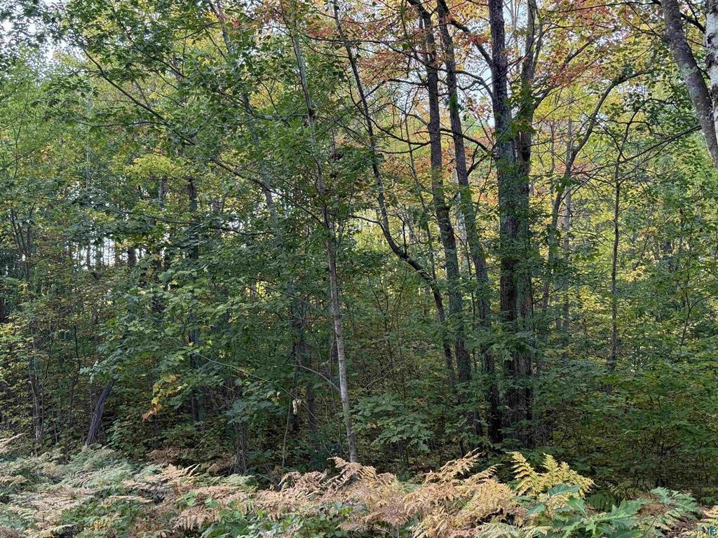 000 Us Highway 2 Property Photo 2